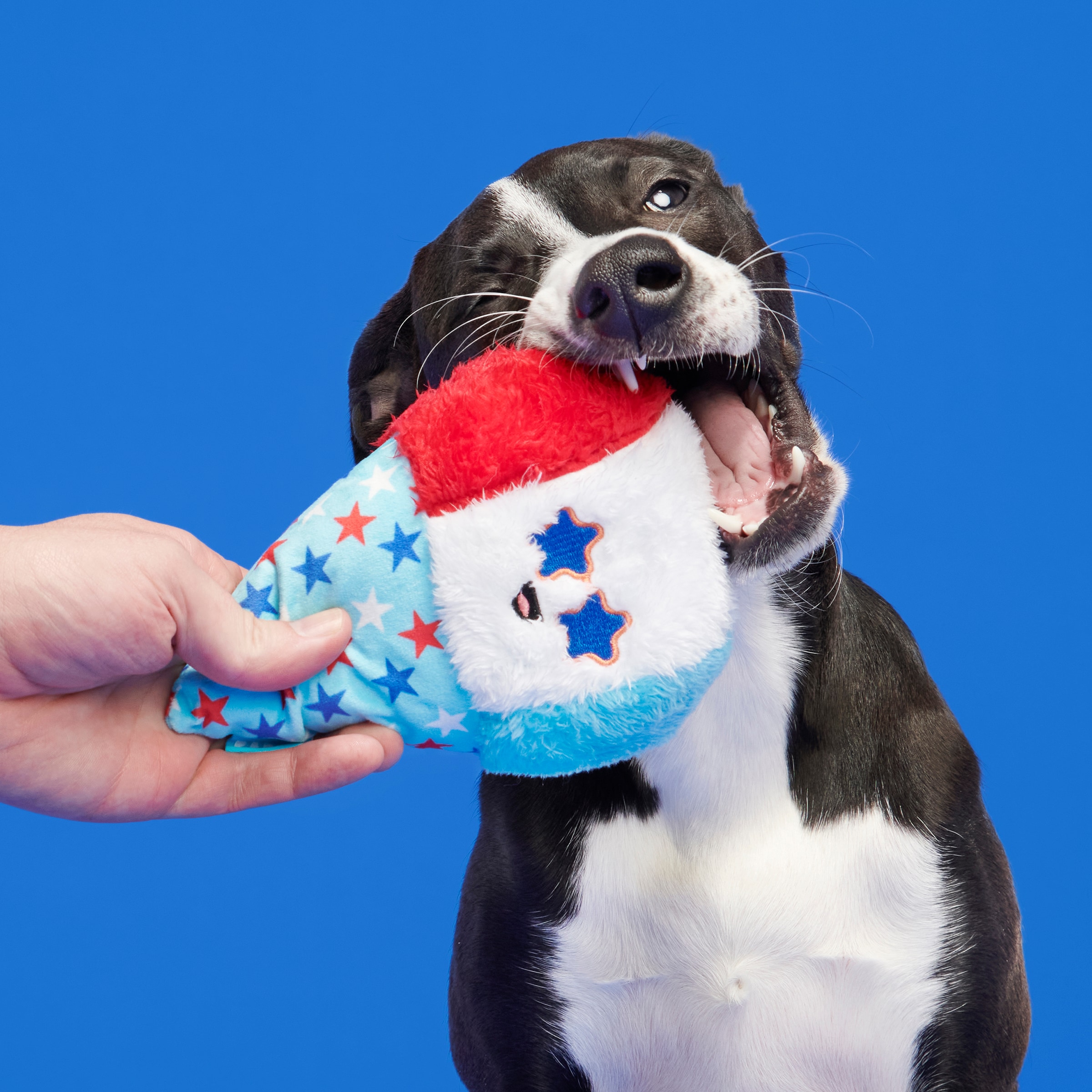 BARK 214267 Dog-Toys - View #6
