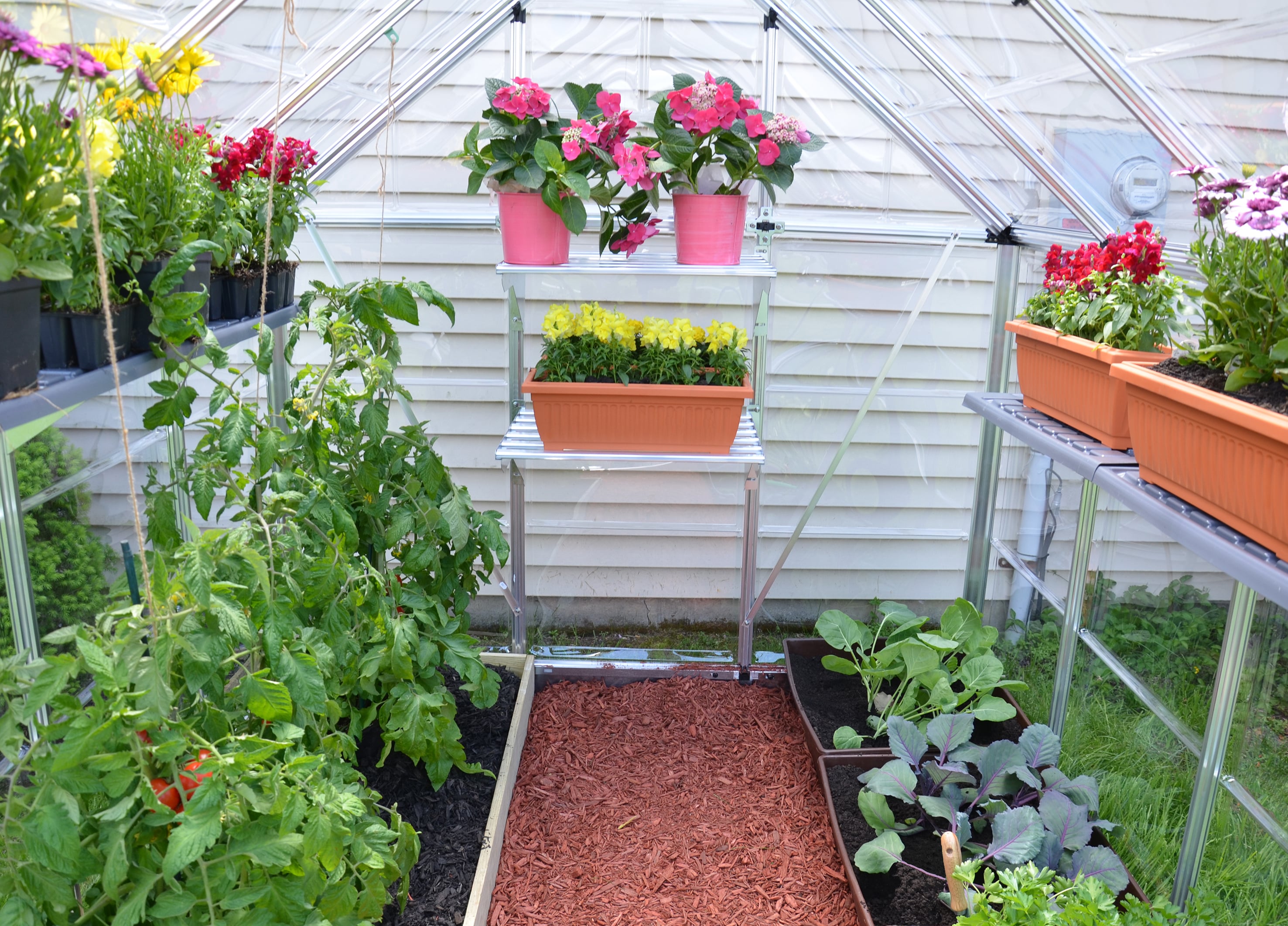 Canopia by Palram 701273 greenhouses - View #7