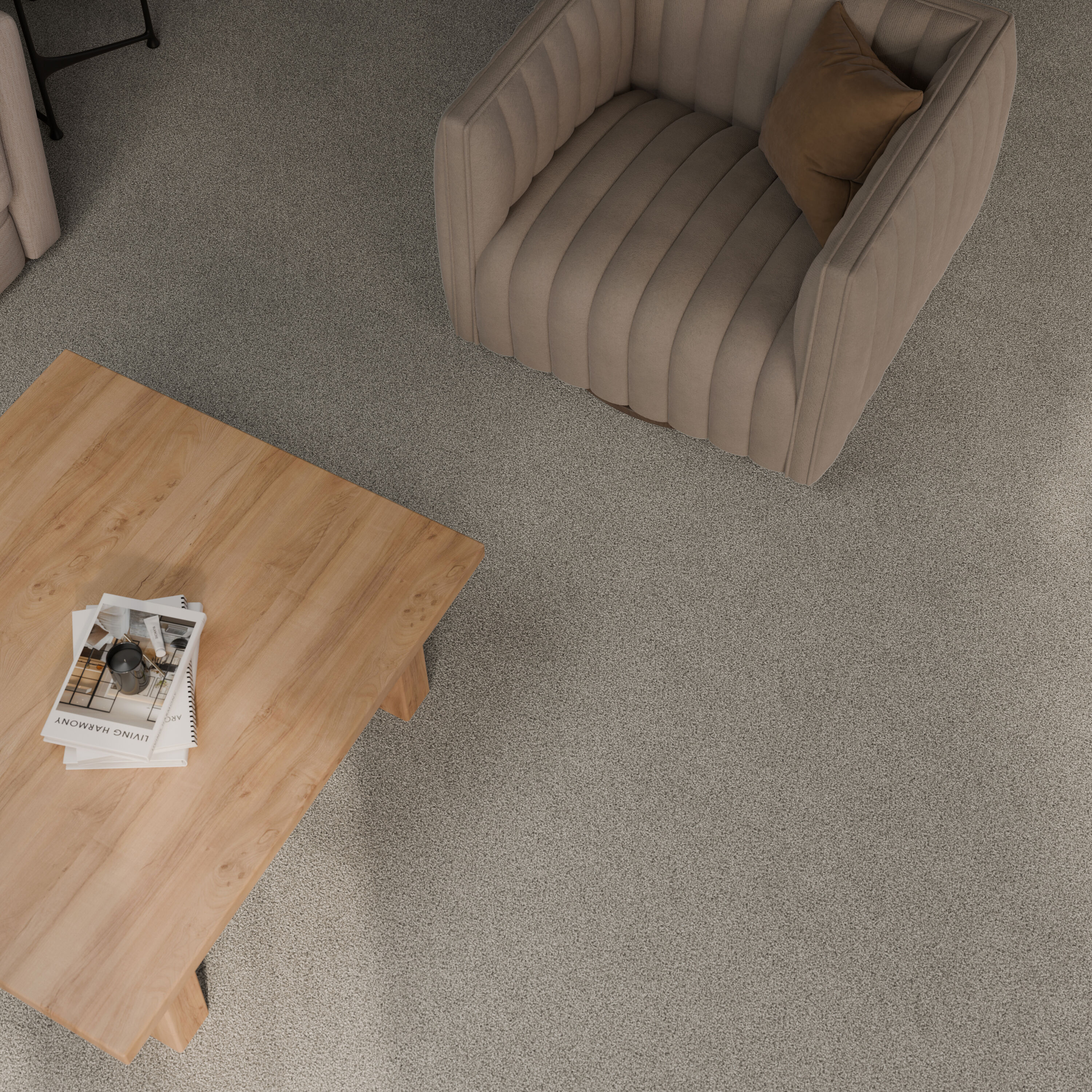 STAINMASTER PetProtect 7L965-125-SAMP Carpet-Samples - View #5