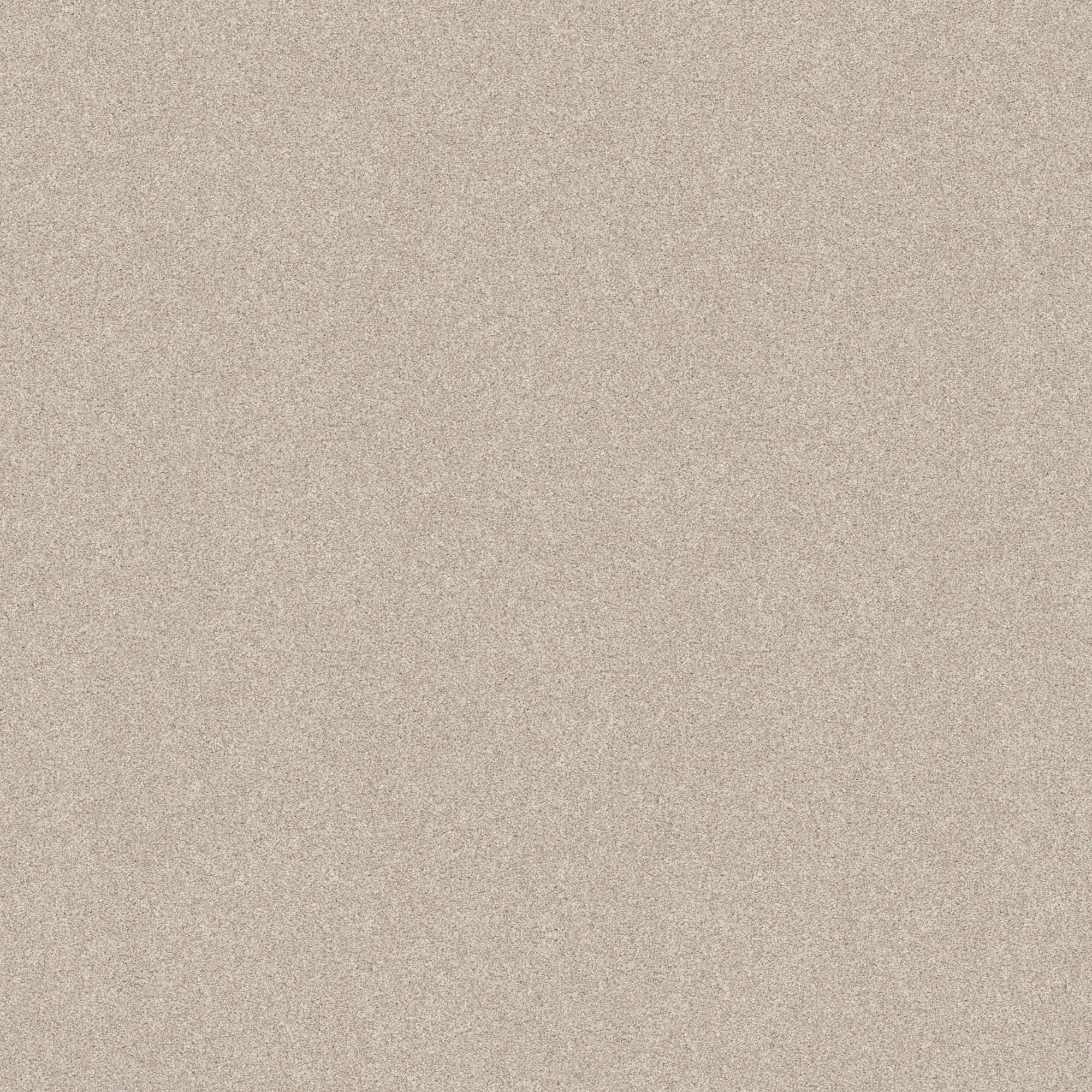 STAINMASTER PetProtect 7L90800153 Paws Down III Champagne Toast Brown 58.5-oz sq yard Nylon Textured Indoor Carpet