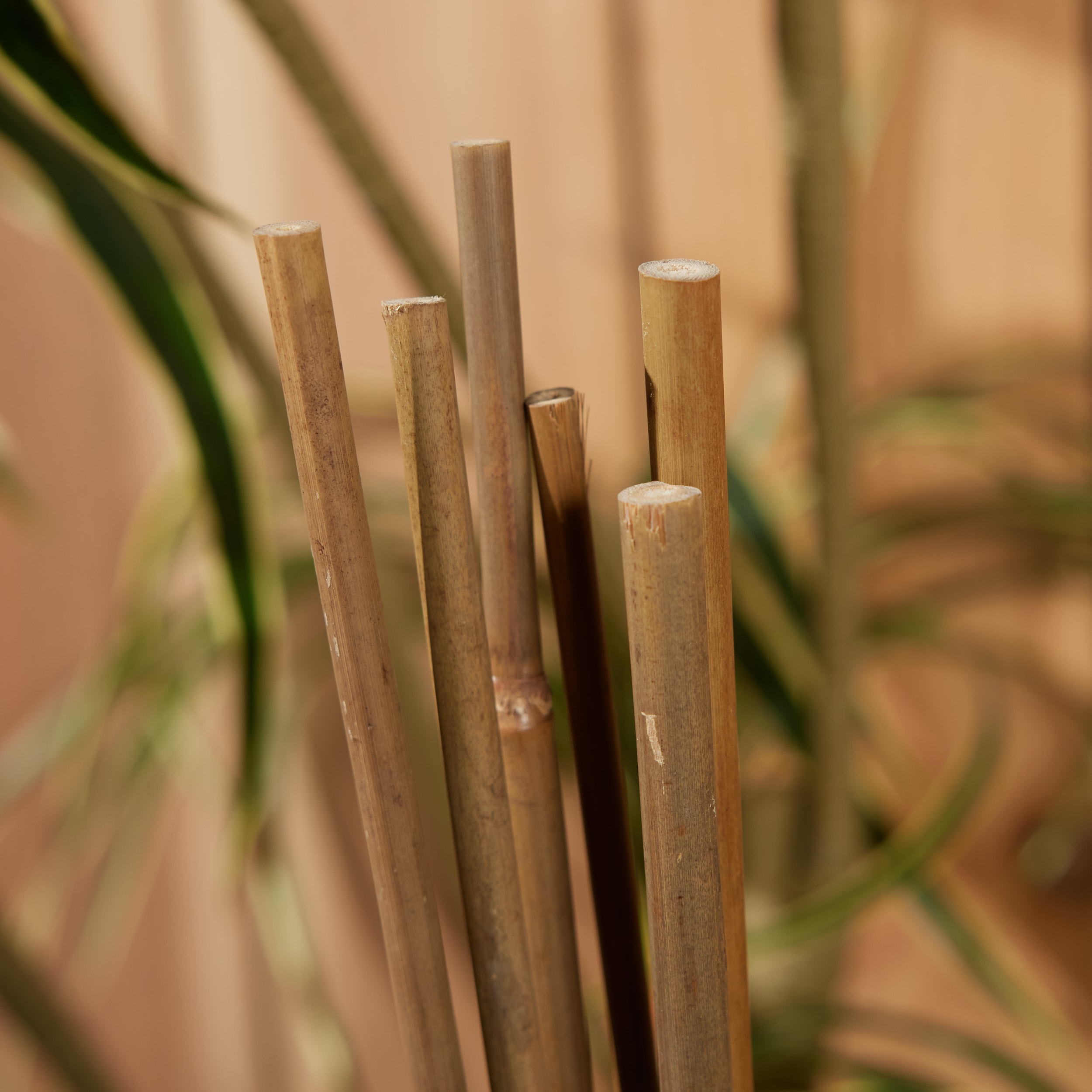 Gardener's Blue Ribbon 6-ft Bamboo Stake 6-Pack Natural | BB6N