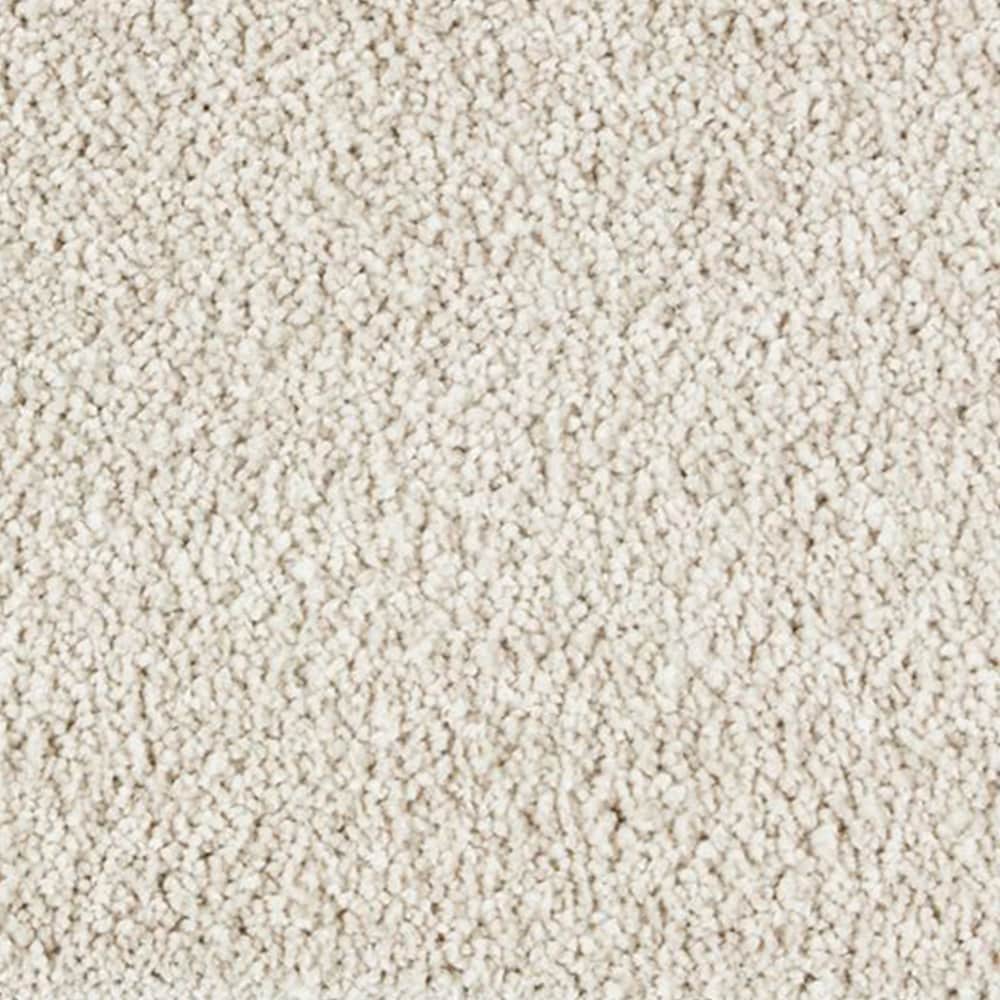 STAINMASTER PetProtect STP24-12-L014 Express Install Alluring splendor I Dune Brown 48-oz sq yard Triexta Textured Indoor Carpet