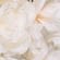 6 pcs Artificial Silk Light champagne for Wedding