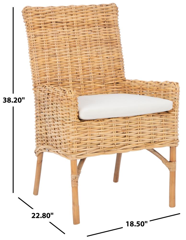 Safavieh Nancy Coastal Natural/White Accent Chair at Lowes.com
