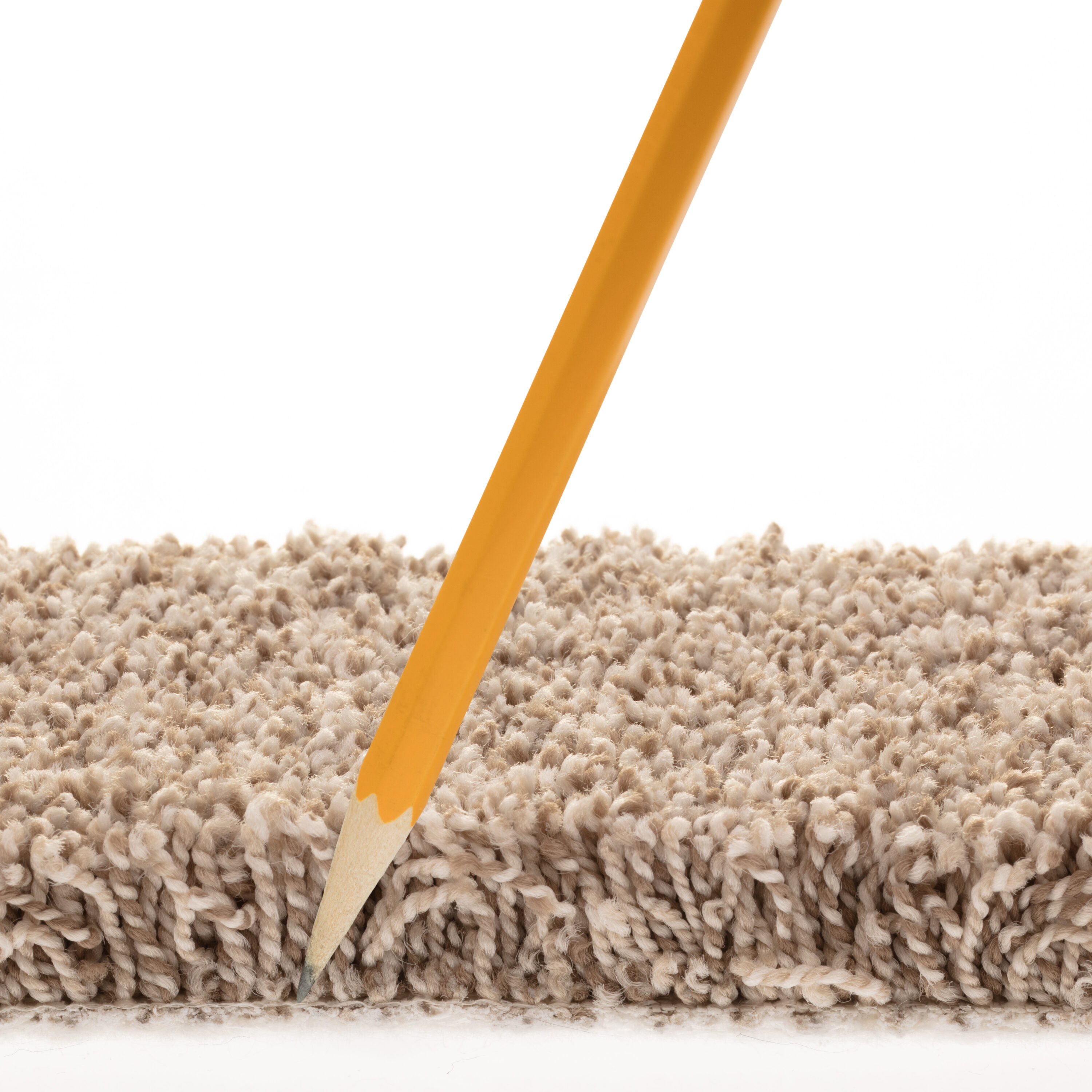 STAINMASTER 7L878 - 769 - SAMP Carpet-Samples - View #7