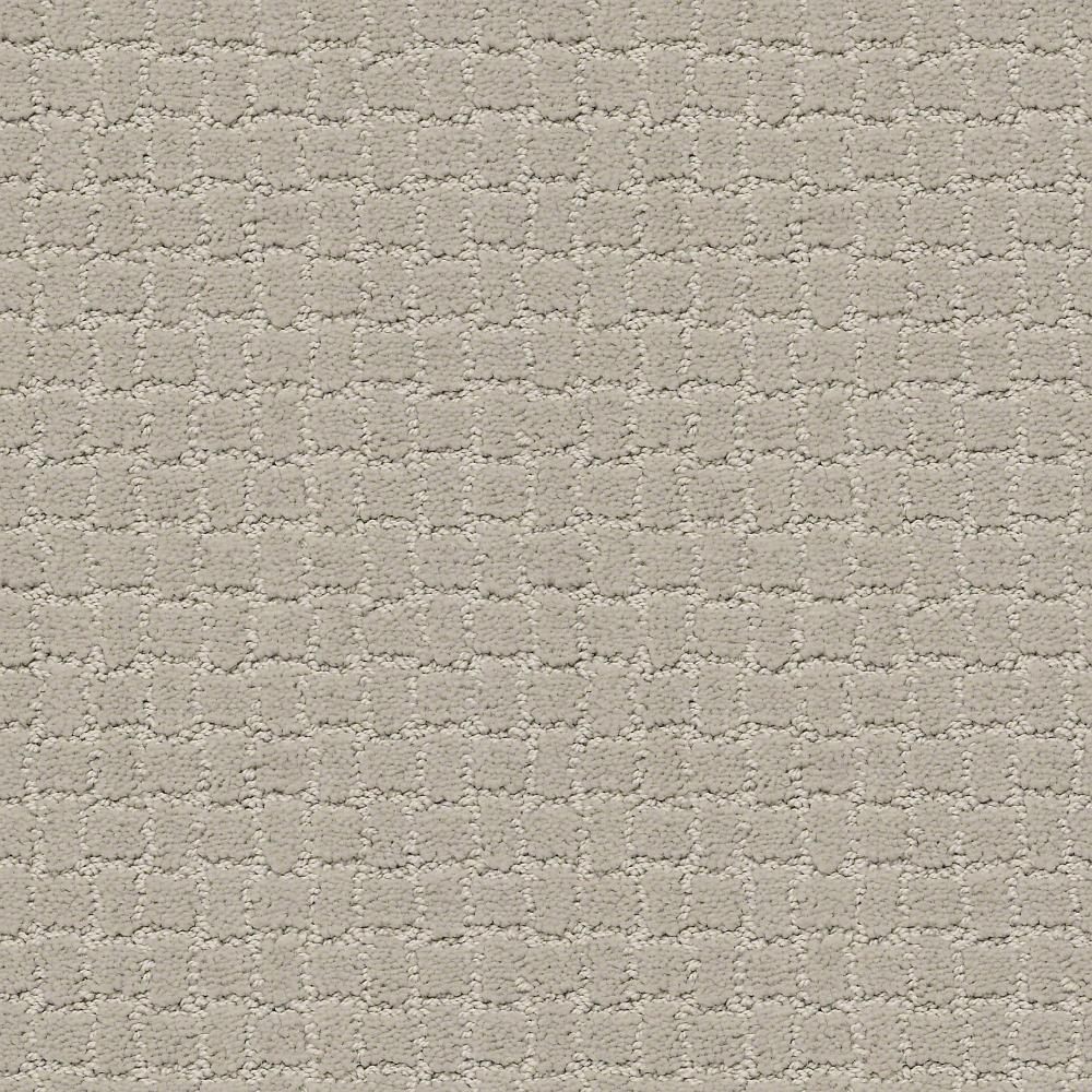 STAINMASTER 7L77300511 PetProtect Bark City Silver Fox Pattern Indoor Carpet