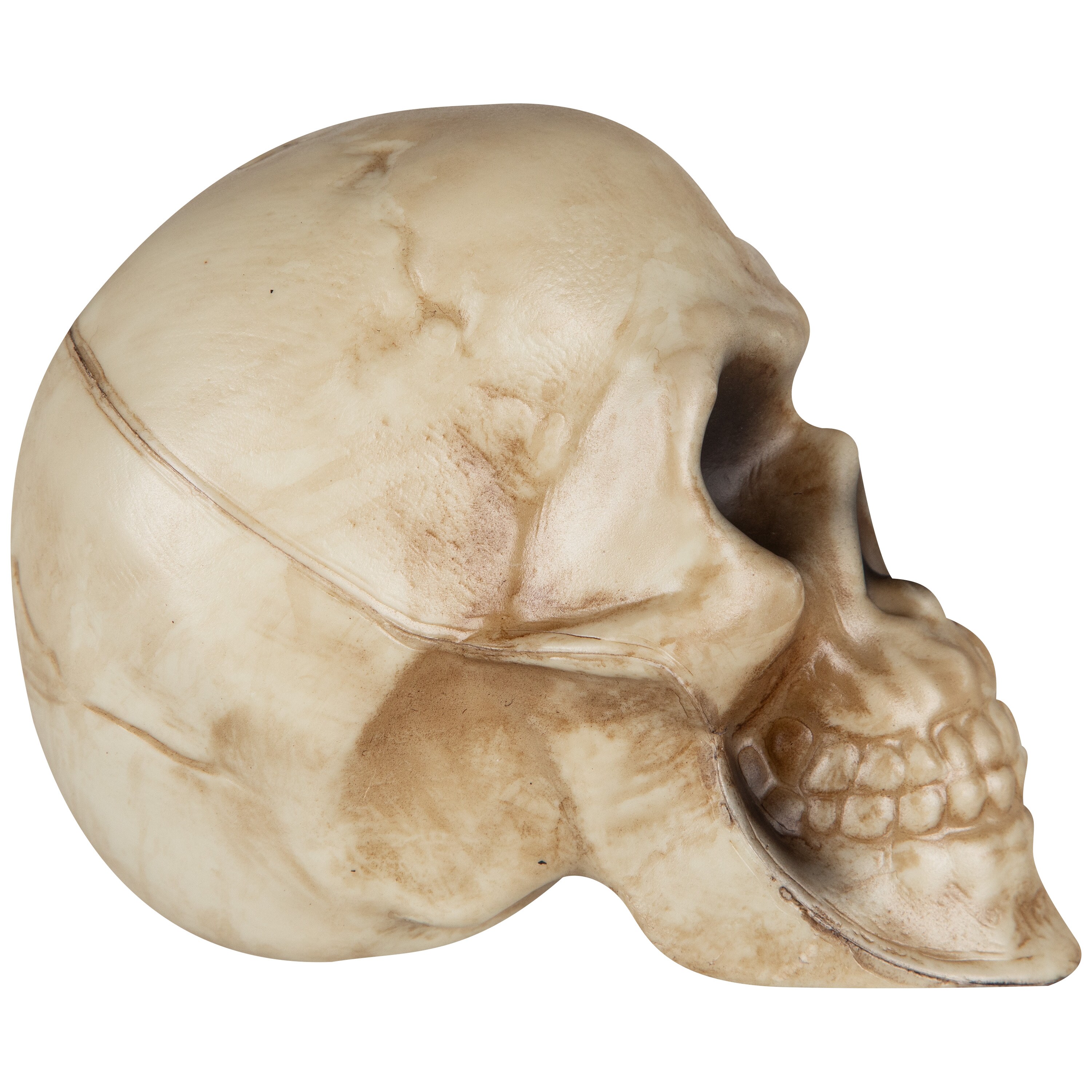 Haunted Living 553957 Table-Halloween-Decor - View #4
