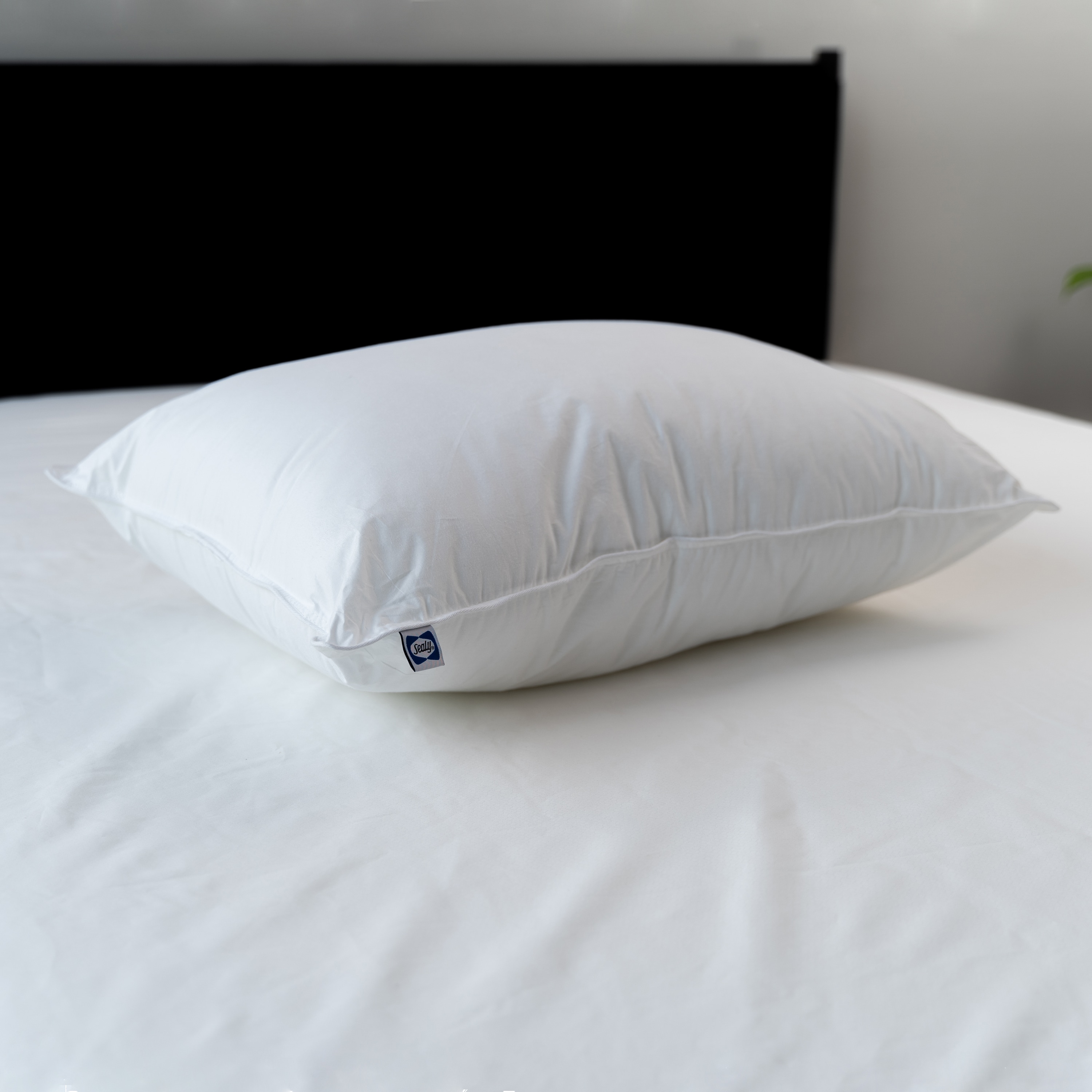 Sealy 84512ATC Bed-Pillows - View #3