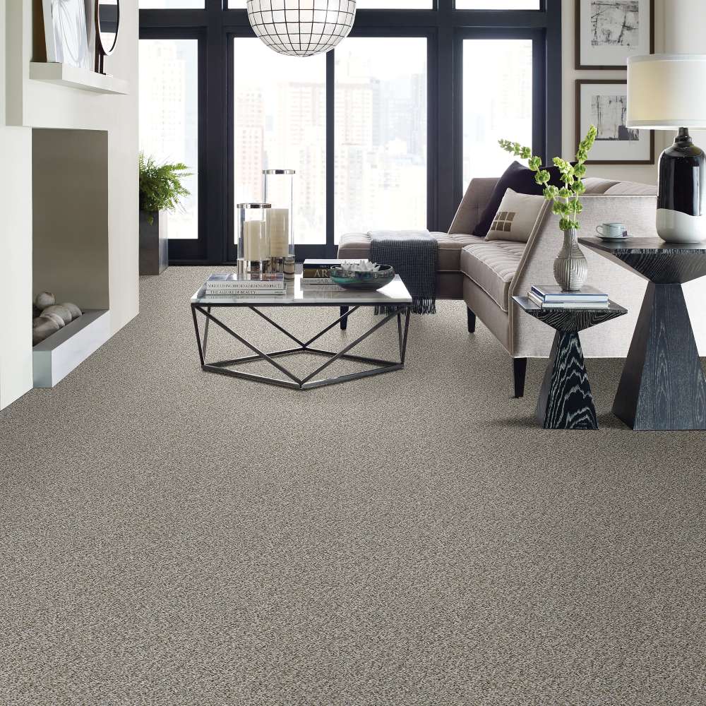 Style Selections 7L825-550-SAMP Carpet-Samples - View #7