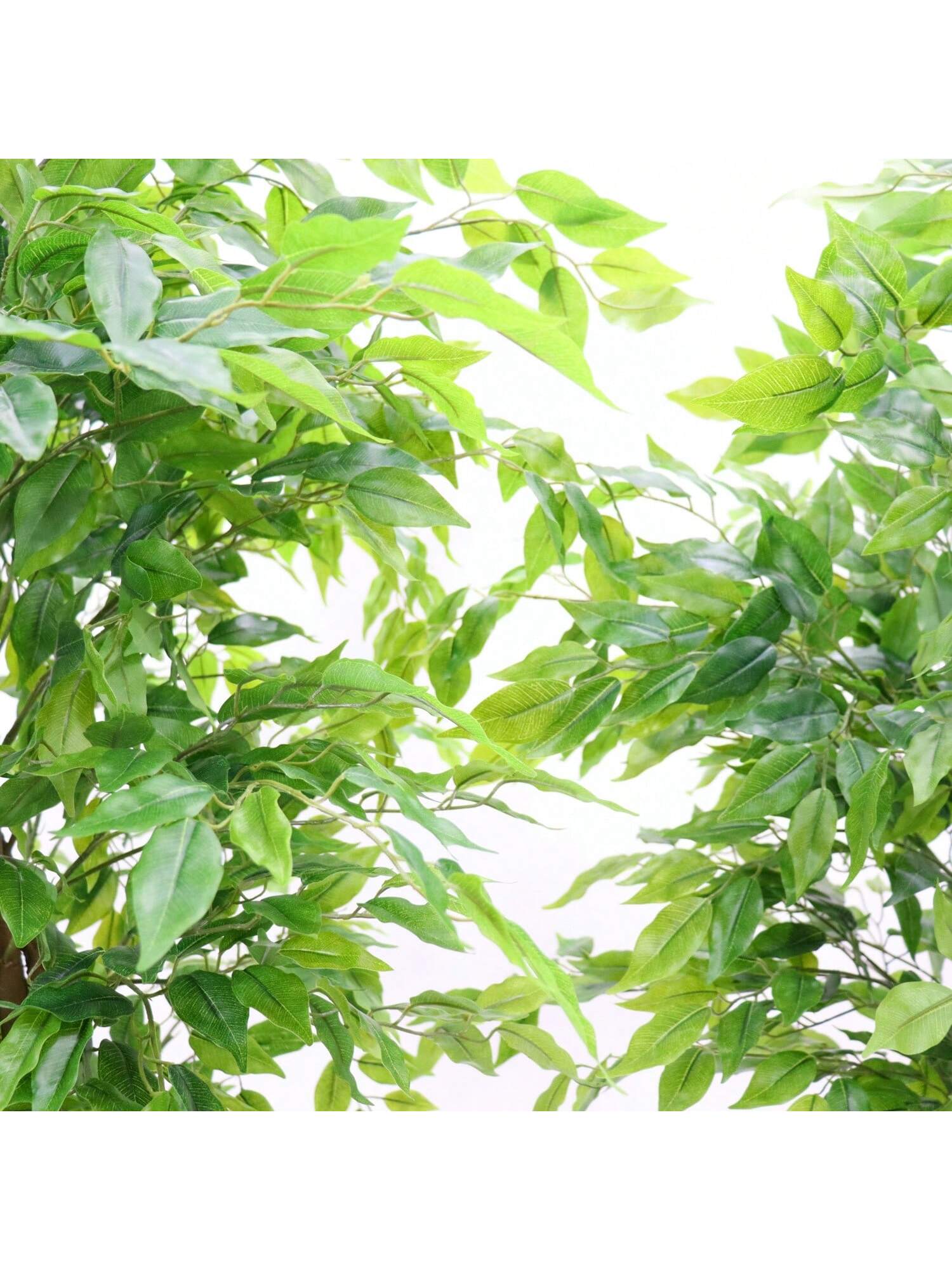 WhizMax GGL-PHK-33EXRGH7 Artificial-Plants-Trees - View #7