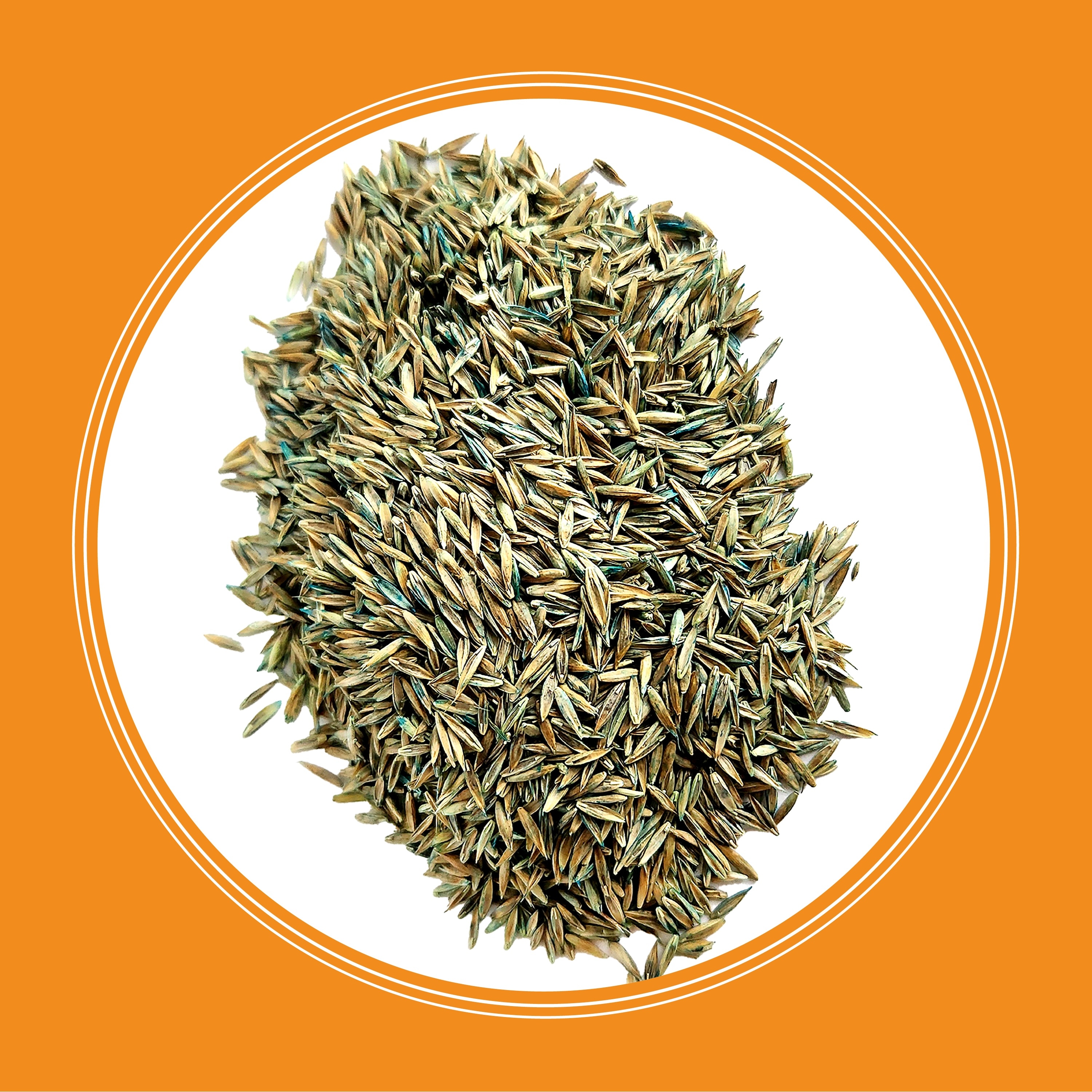 Pennington 100551718 Grass-Seed - View #4