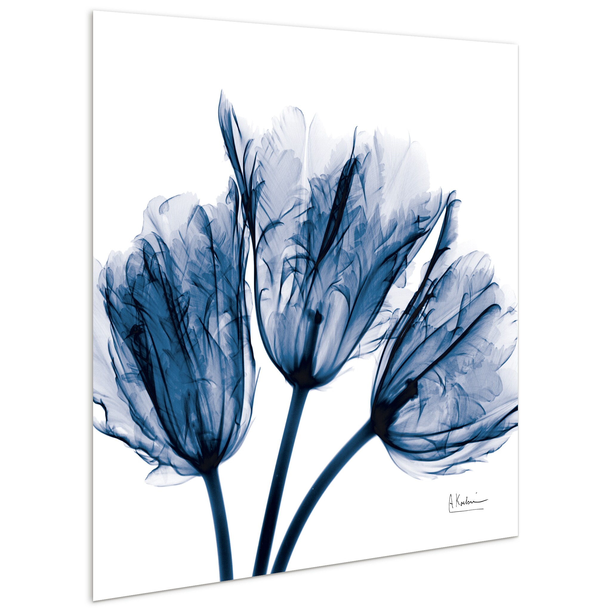 Empire Art Direct TMP-AK011A-2424 Wall-Art - View #2