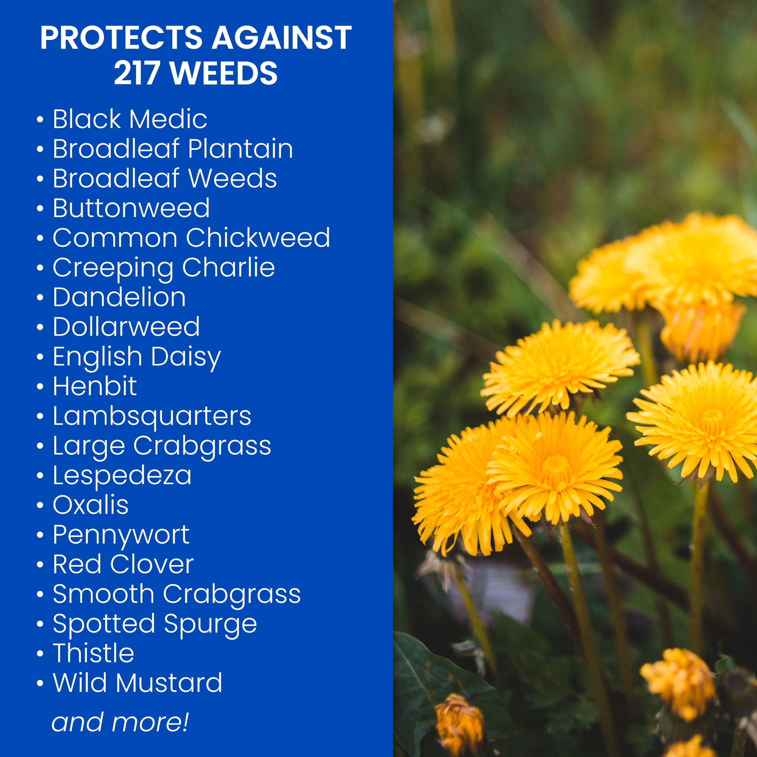 BioAdvanced 820123 Weed-Killers - View #2