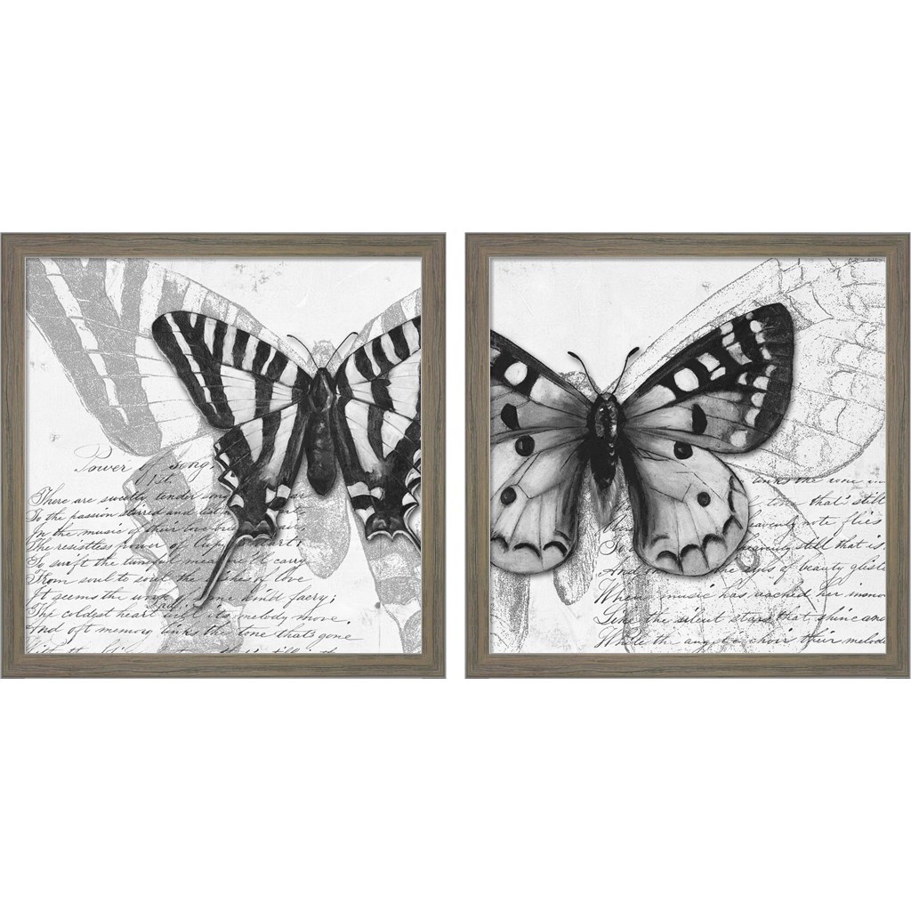 Metaverse Corporation PLI762363 Butterfly Studies I and Ii Patricia Pinto Gray Framed 13-in H x 13-in W Animals Paper Print