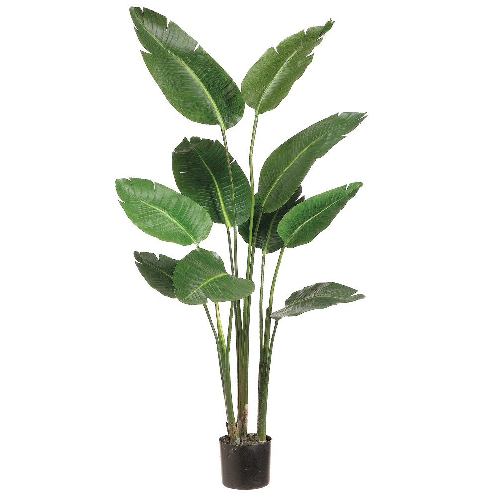 Allstate Floral LZB605-GR 60-in Green Indoor Floor Bird of Paradise Artificial plant