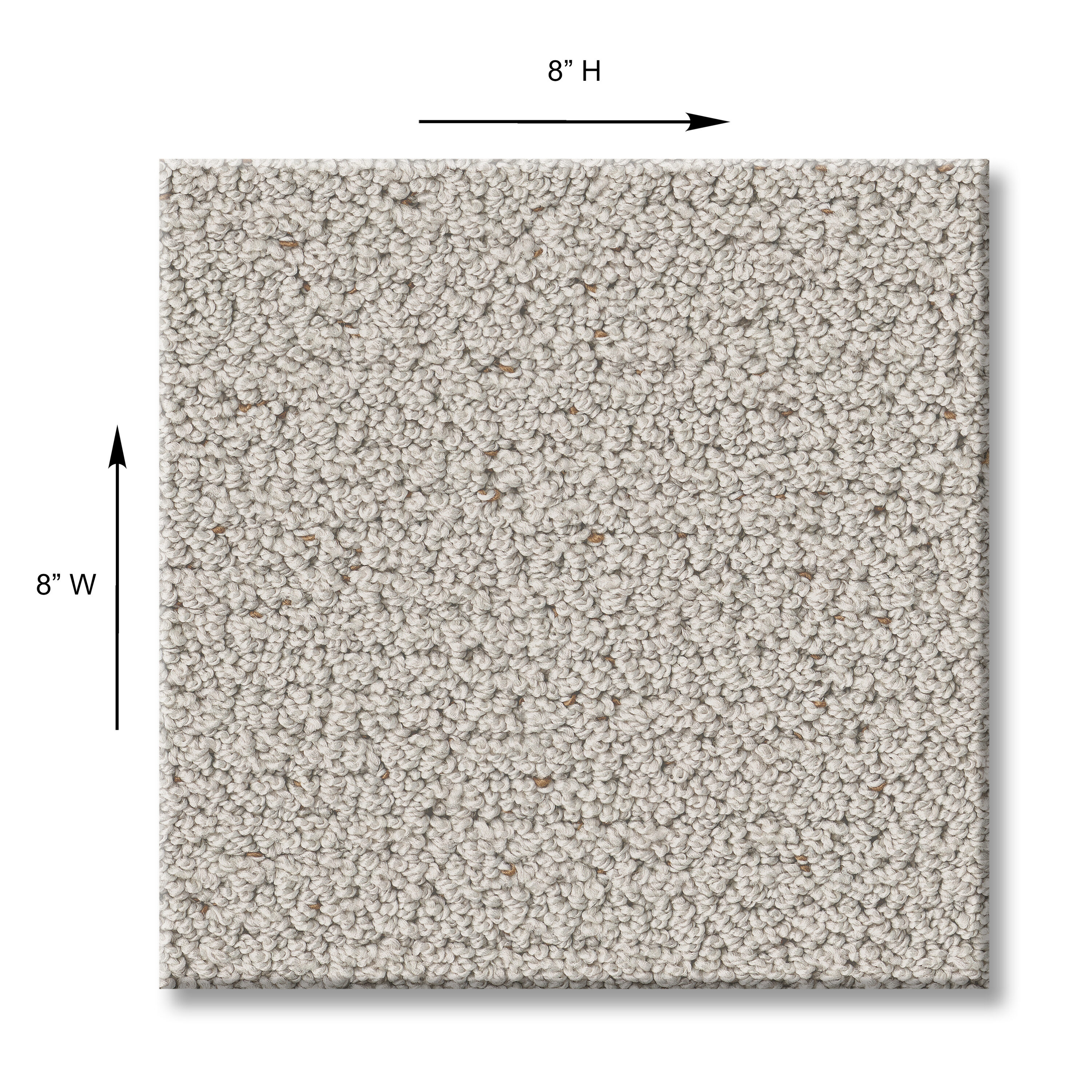 STAINMASTER 7L877 - 104 - SAMP Carpet-Samples - View #5