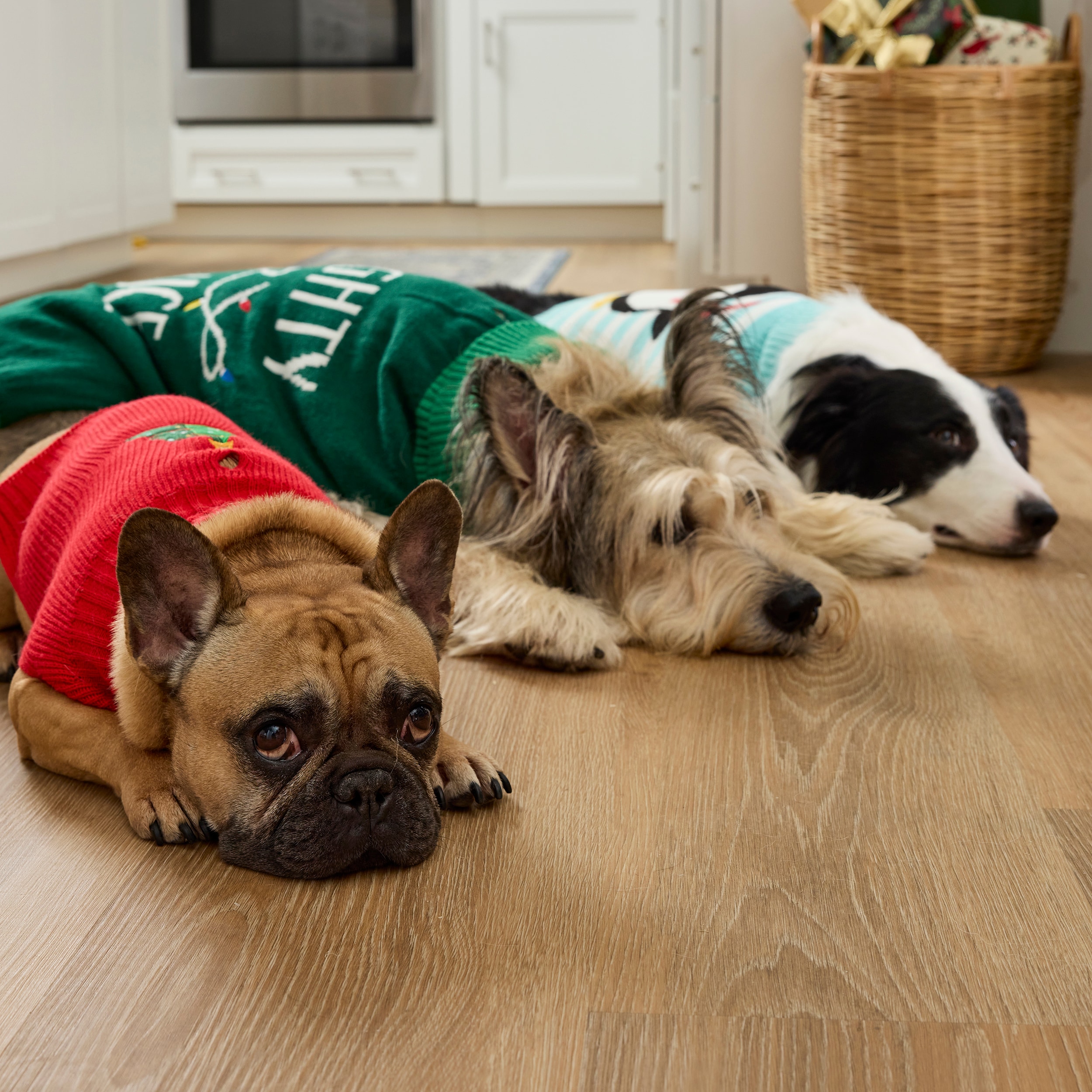 Heart & Herd YS0407-S Dog-Apparel - View #12