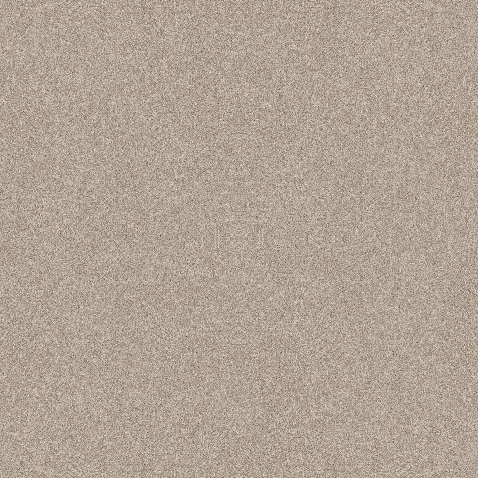 STAINMASTER 7L908 - 743 - SAMP (Sample) Paws Down III Sandstone Brown 58.5-oz sq yard Nylon Textured Indoor Carpet