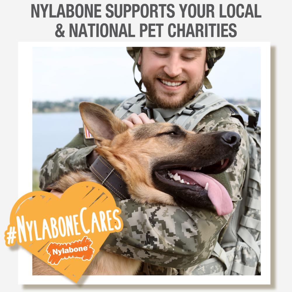 Nylabone 1821482667 Dog-Toys - View #8