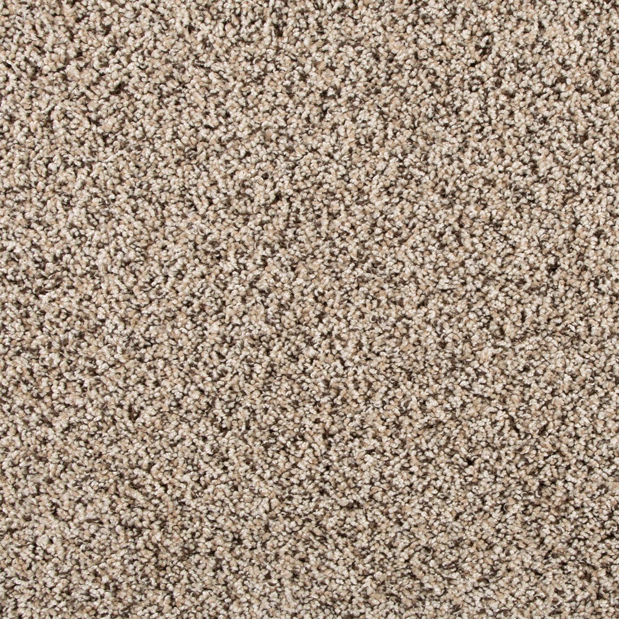 Style Selections SS049-L005-S0808 (Sample) 8-in x 8-in Express Install True Read II Tropical Island Tan 40-oz sq yard Solution-dyed polyester Textured Indoor Carpet