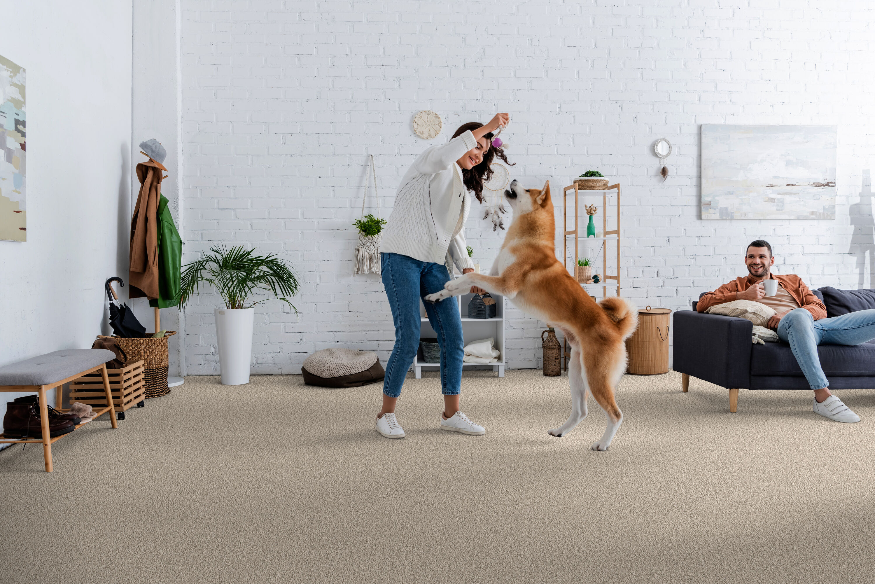 STAINMASTER PetProtect 7L884 - 700 - SAMP Carpet-Samples - View #3