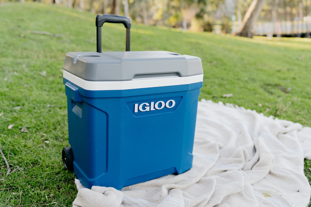 Igloo Thermos Black And Blue