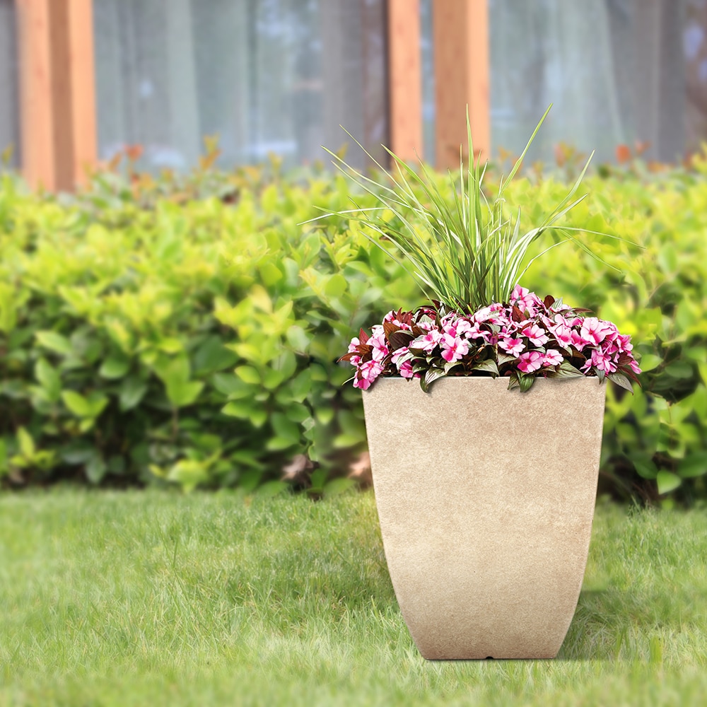 Southern Patio HDR-029885 Planter-Window-Box - View #8
