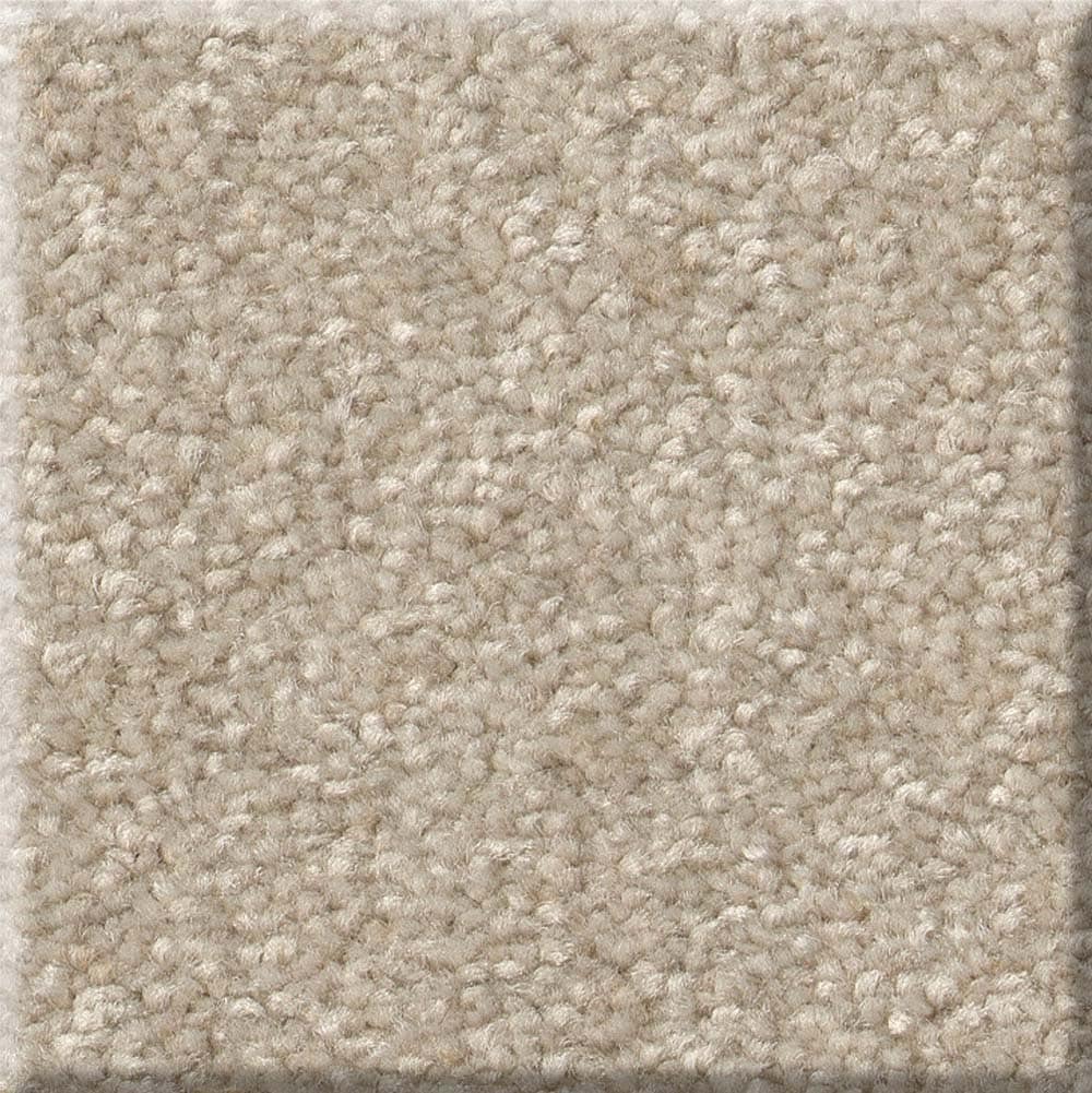 STAINMASTER 7L86200109 Best Intentions I 15 - Ft Natural Brown 39-oz sq yard Polyester Textured Indoor Carpet