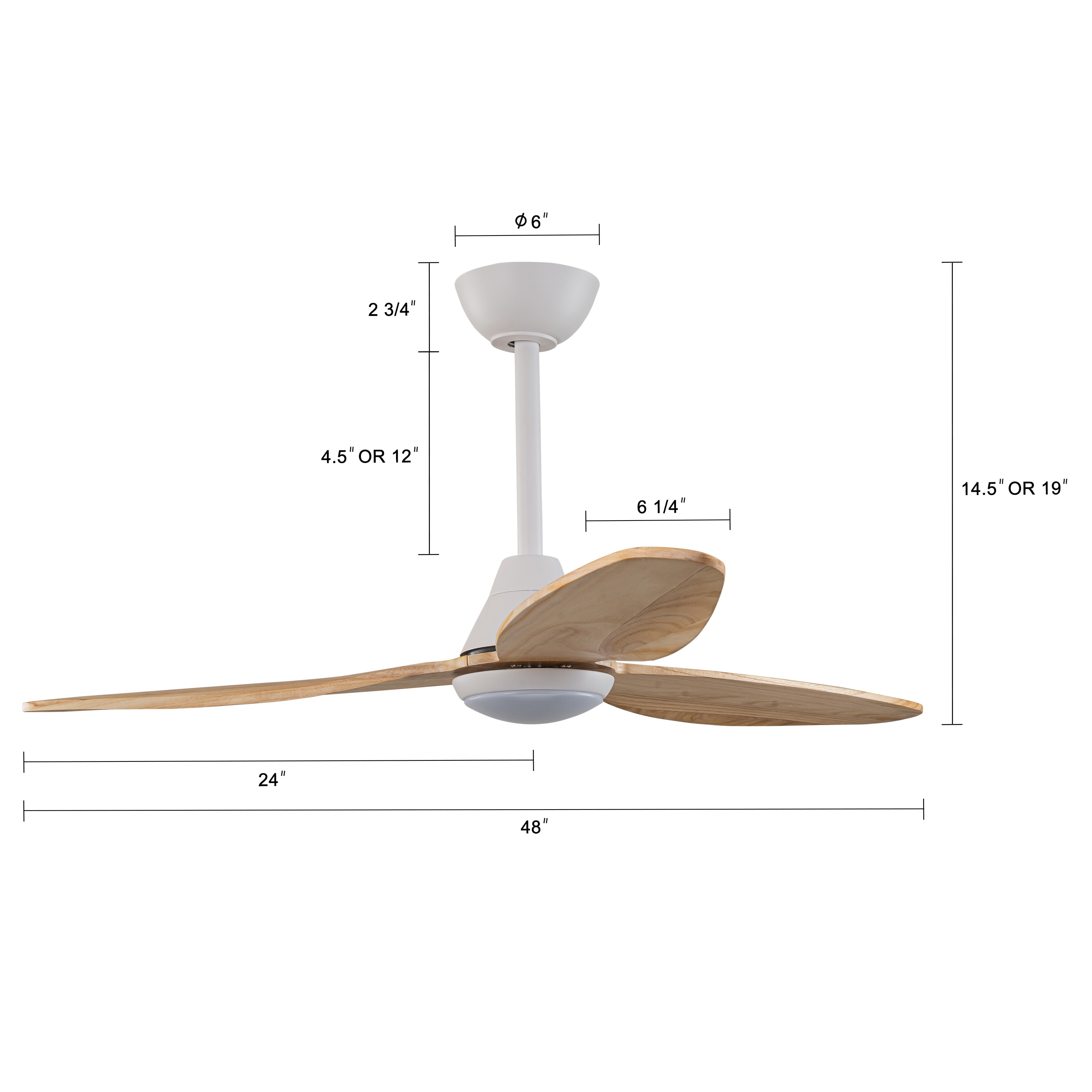 C Cattleya LCA2434-CF Ceiling-Fans - View #5