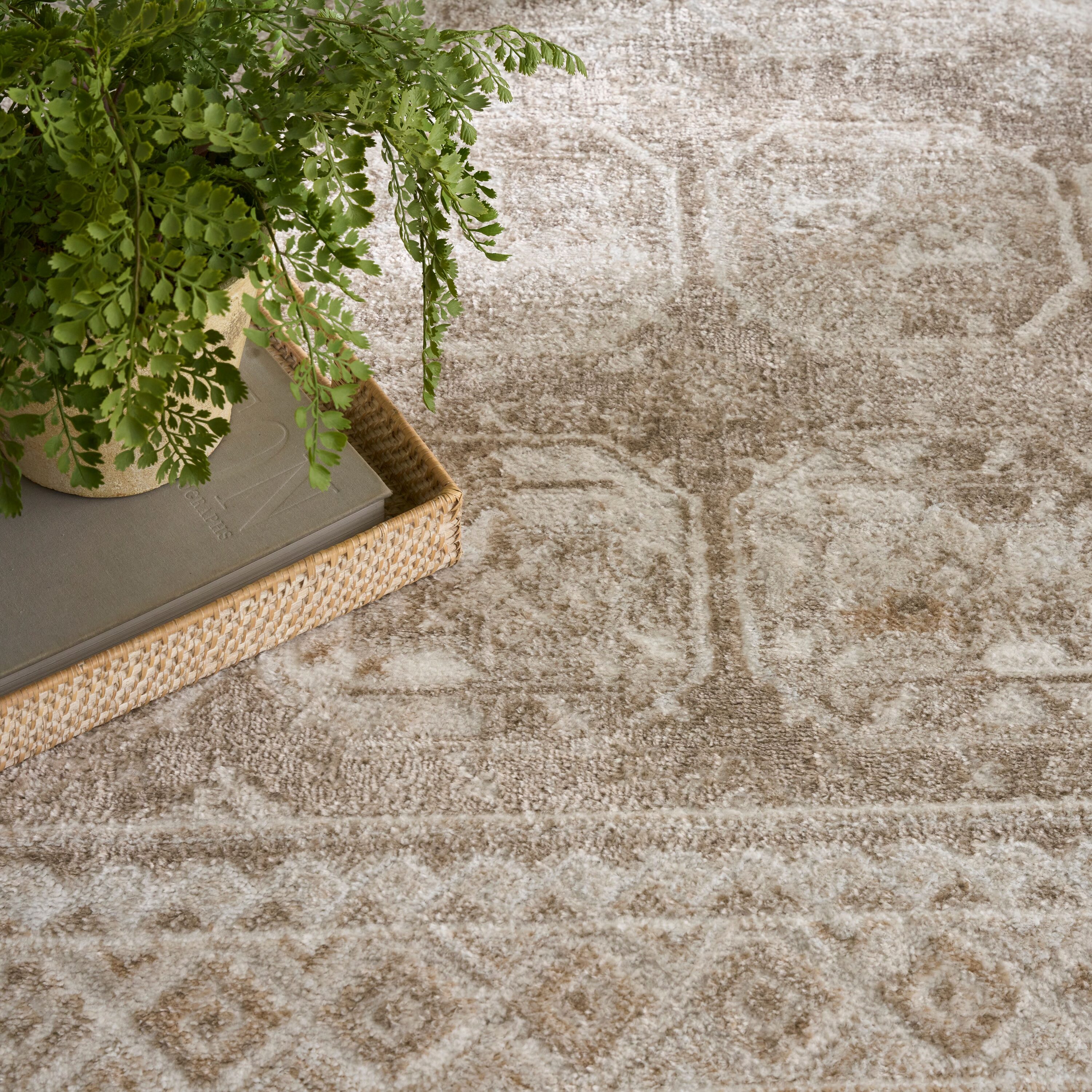 Nourison 841491152041 rugs - View #3