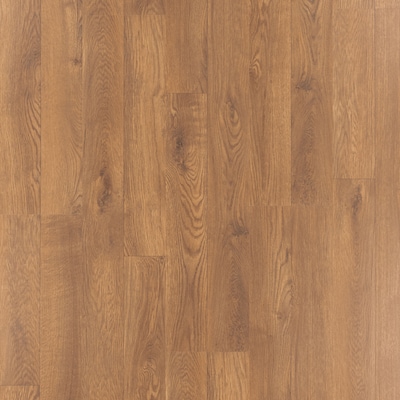 Style Selections Style Acorn Oak 8-mm Thick Wood Plank Laminate Flooring  Sample in the Laminate Samples department at Lowes.com