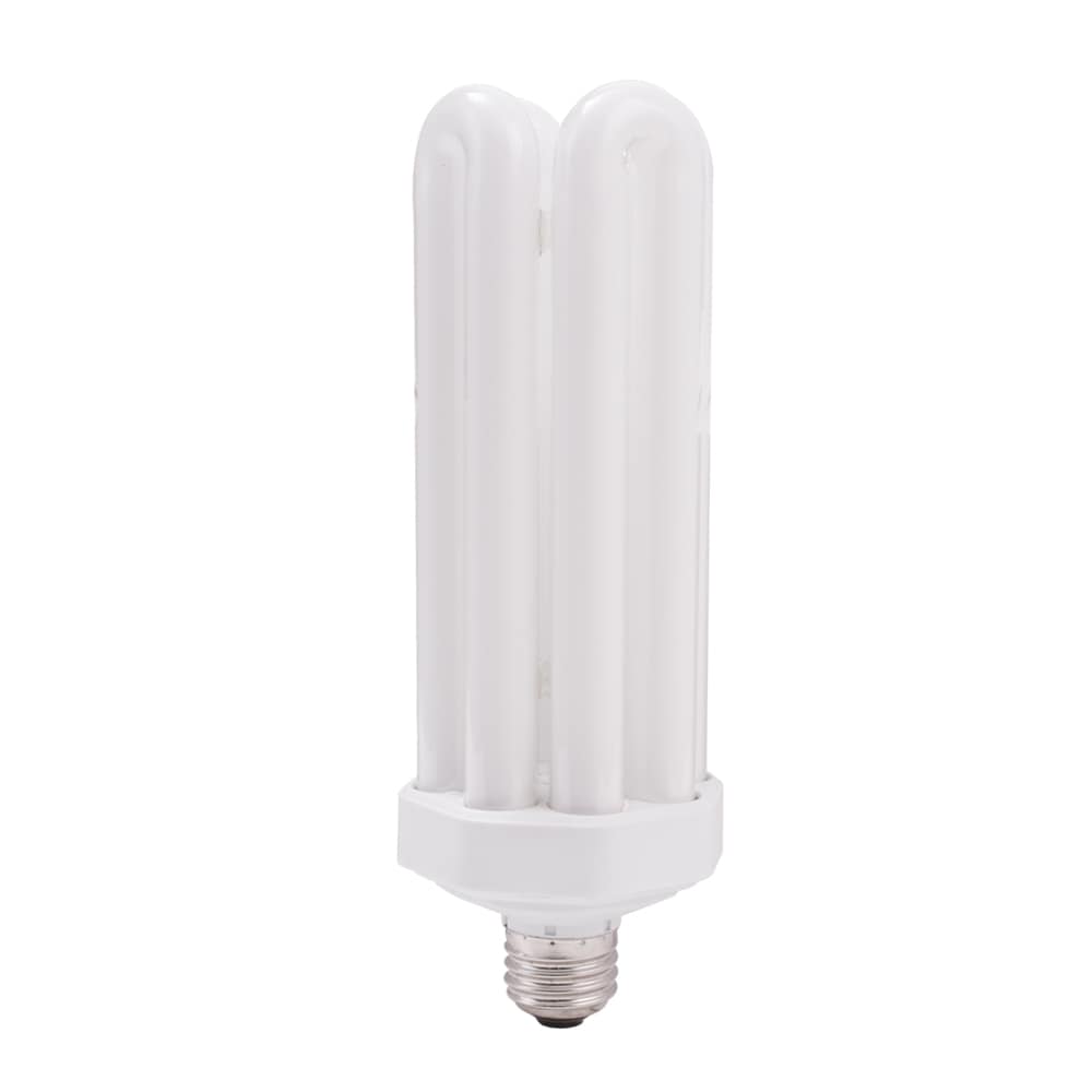 Cool White Light Bulbs at
