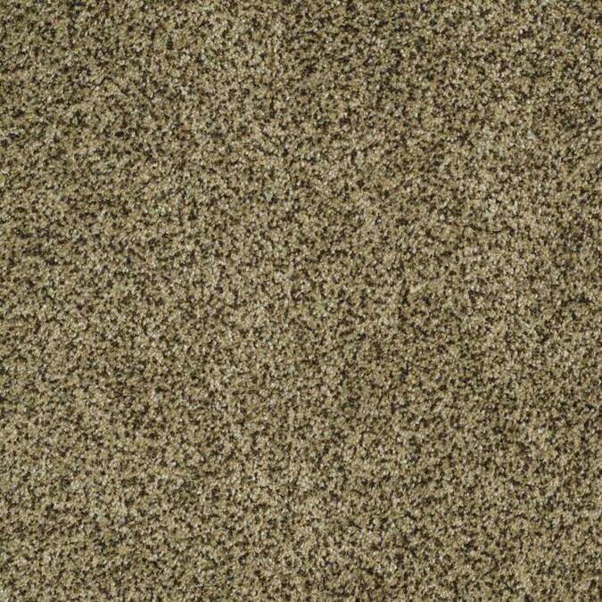 STAINMASTER Signature Private Oasis II Verde Textured Carpet Sample (Interior) in the Carpet