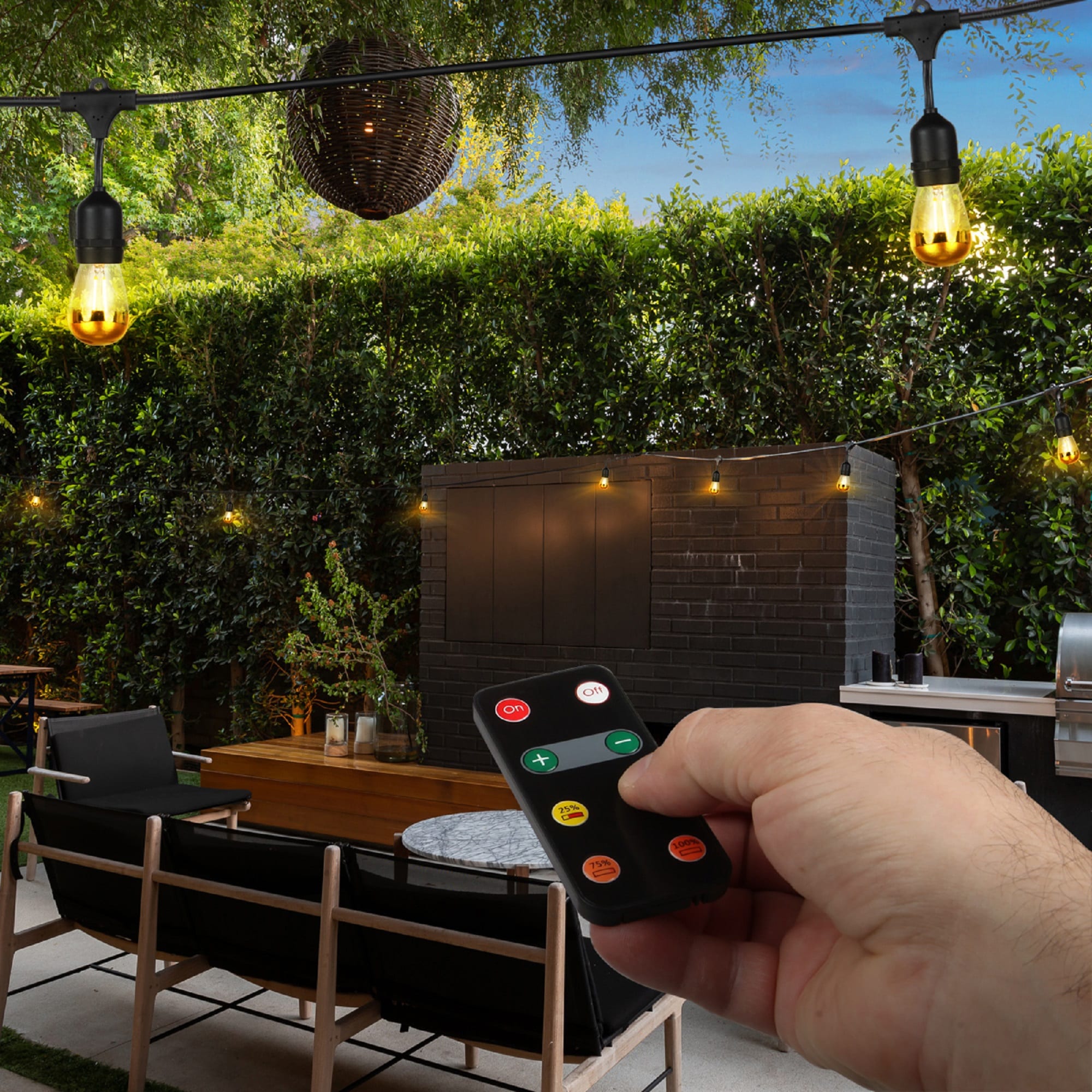 Brightech AMB-DMR Light-Dimmers - View #6
