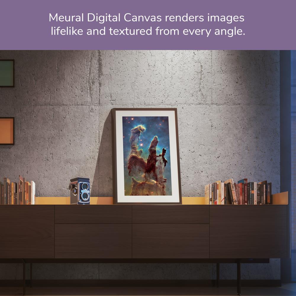 NETGEAR MC227BL-100PAS Picture-Frames - View #7