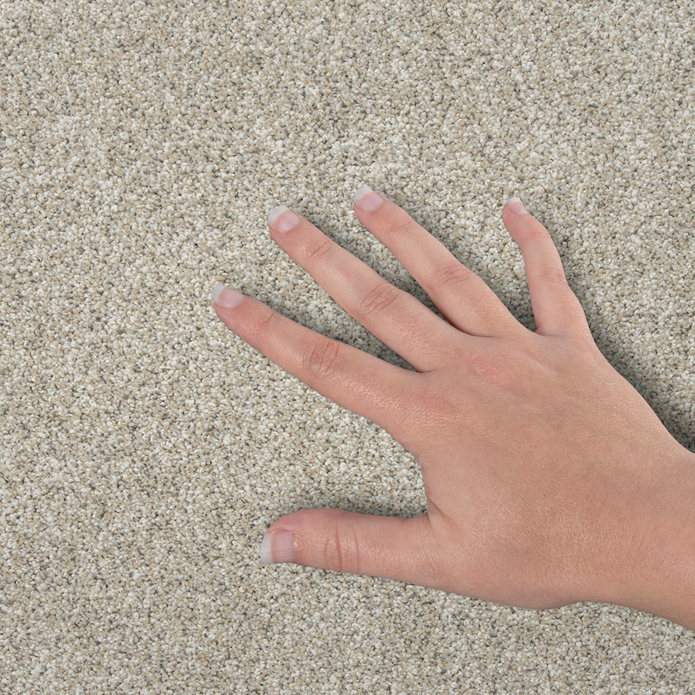 STAINMASTER SS075-12-L004 Carpet-Panel - View #4
