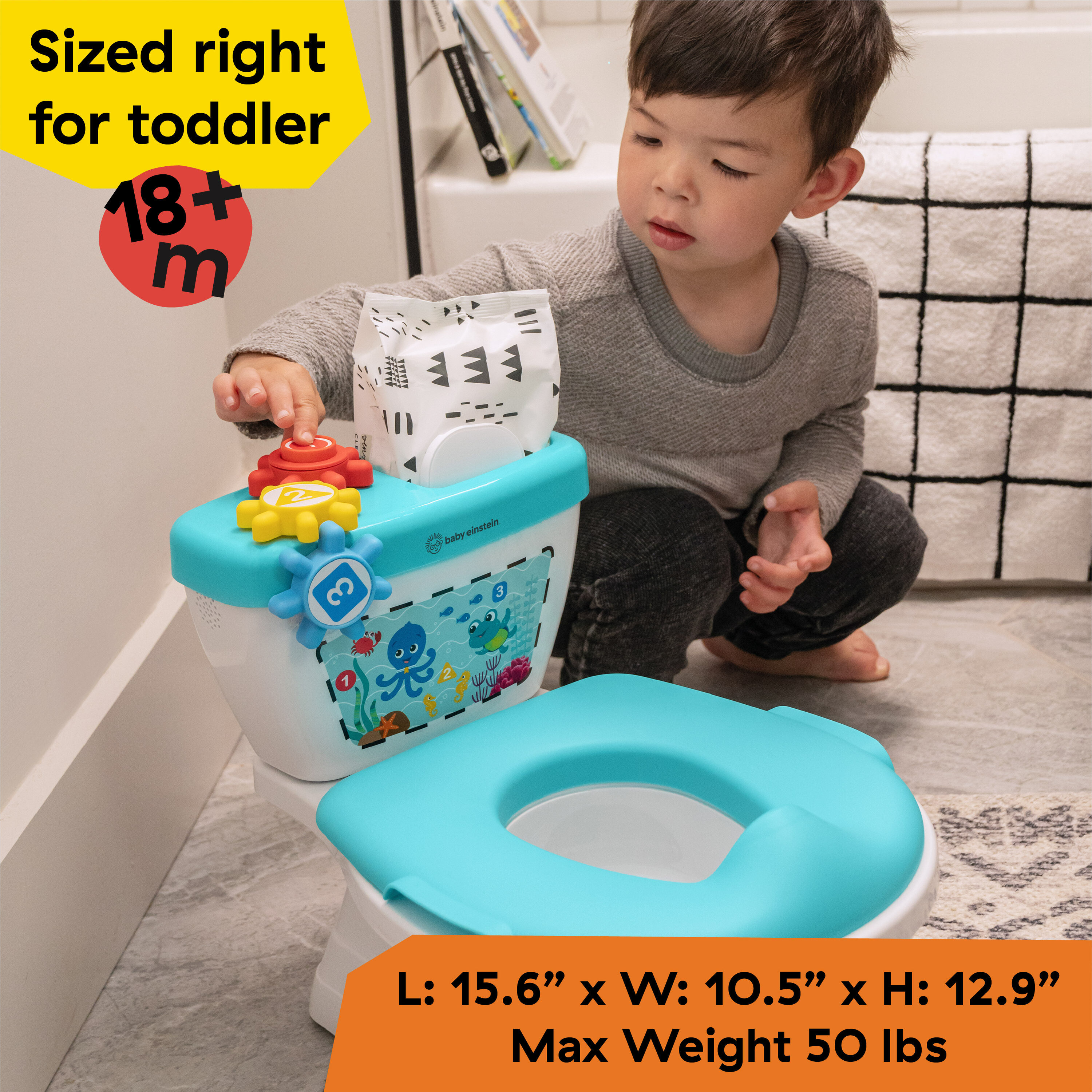 Baby Einstein 17087 Child-Safety-Accessories - View #2