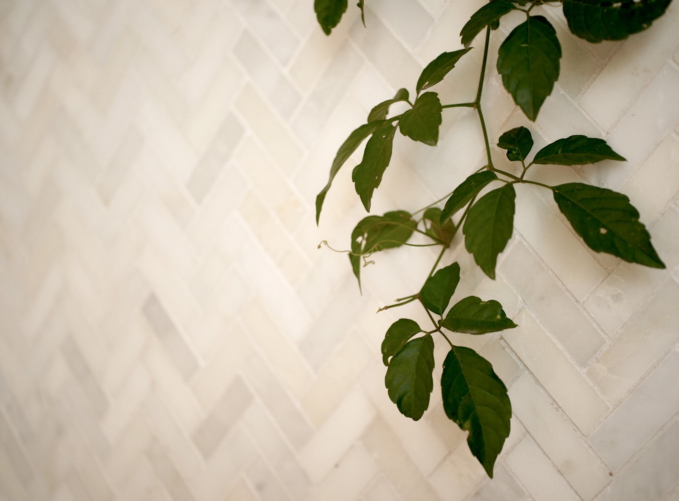 CCI DW SP117 Ceramic-Tile - View #3