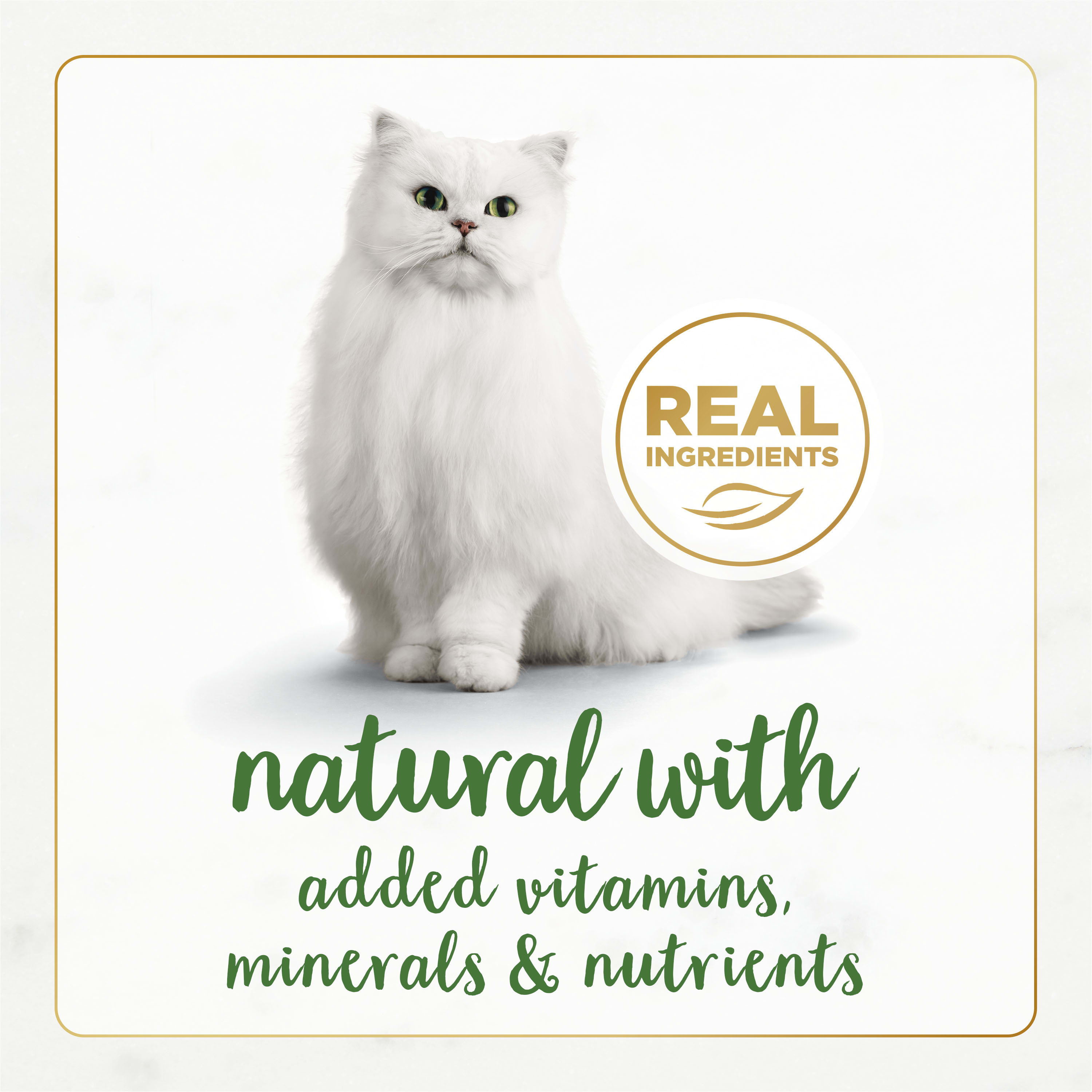 Fancy Feast 005000050033 Wet-Dog-Food - View #2