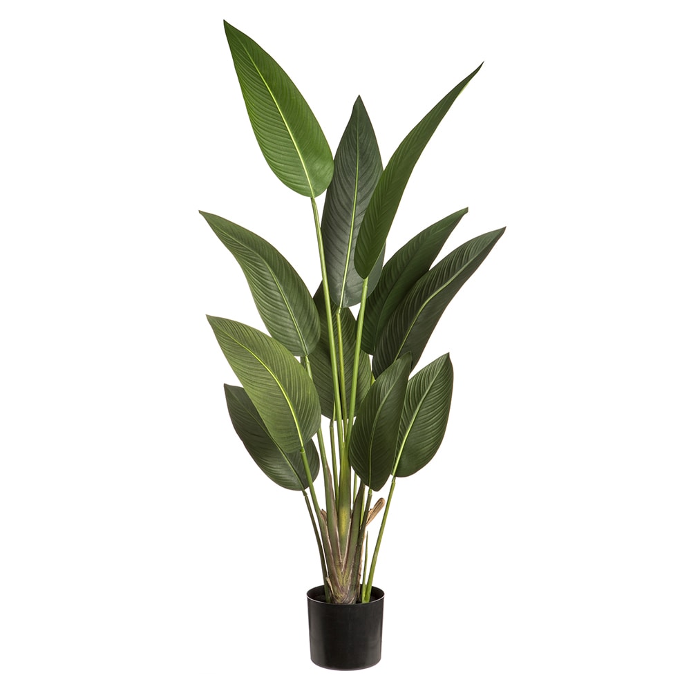 Allstate Floral LPB506-GR 60-in Green Indoor Floor Bird of Paradise Artificial plant