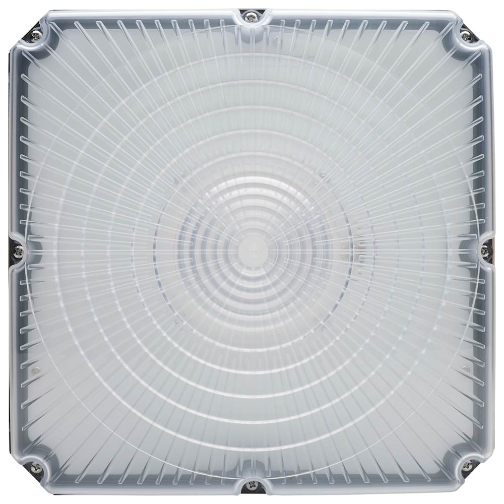 Nuvo Lighting 65/981 flushmounts - View #3