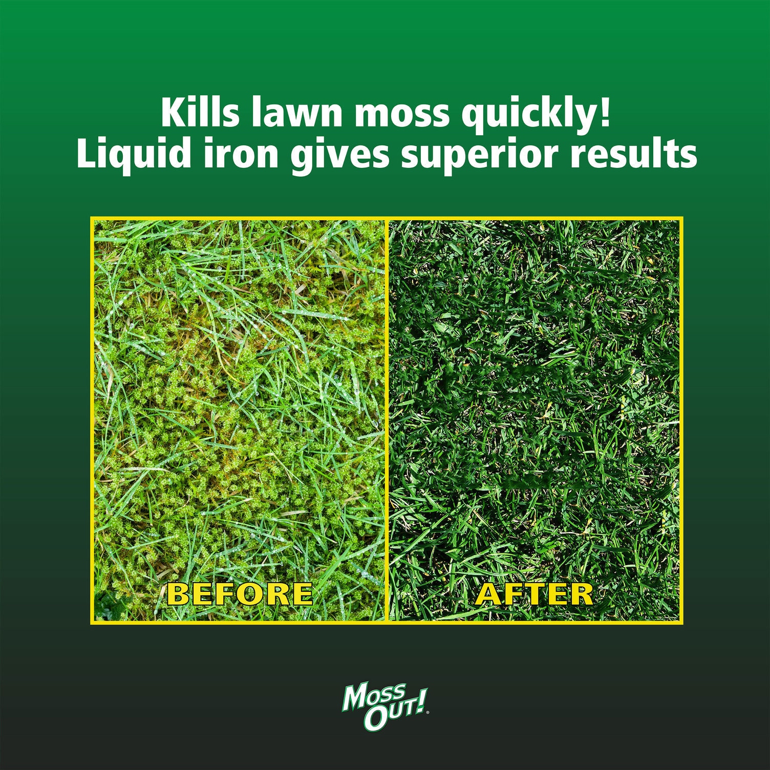 Moss Out! 7062400765 Moss-Algae-Fungus-Control - View #3