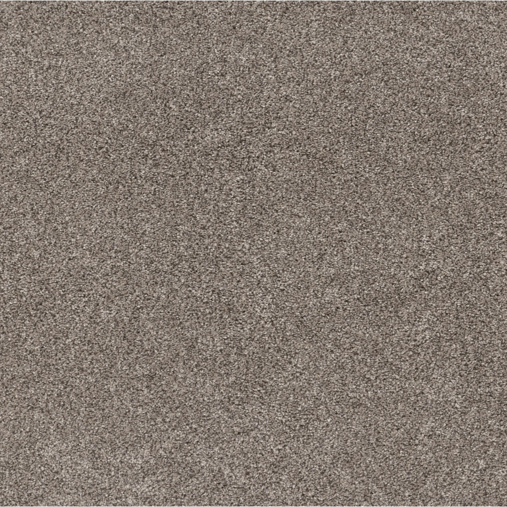 STAINMASTER 7L949-116-SAMP (Sample) 8-in x 8-in Pleasant Surprise I Warm Light Brown 43.9-oz sq yard High-performance polyester Textured Indoor Carpet