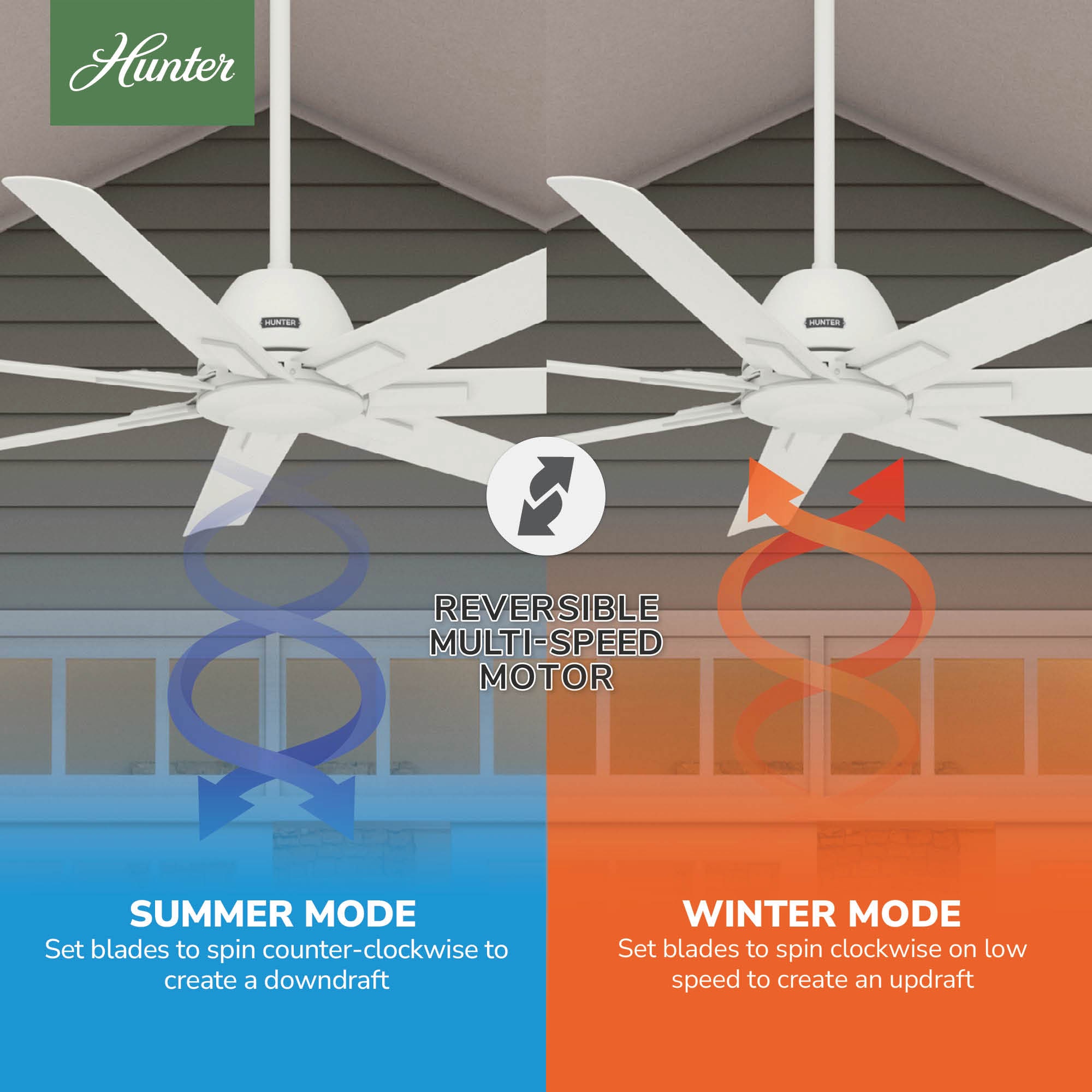 Hunter 53436 Ceiling-Fans - View #7