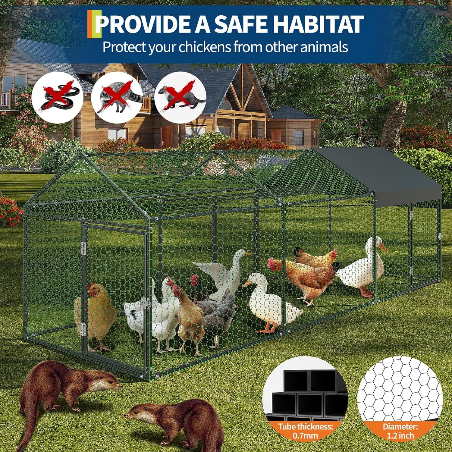 Qeetex GGL-PPG-33EVARQG Chicken-Coops-Rabbit-Hutches - View #6