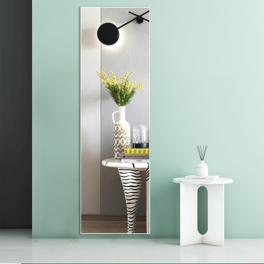 NeuType 16-in W x 51-in H White Framed Full Length Wall Mirror at
