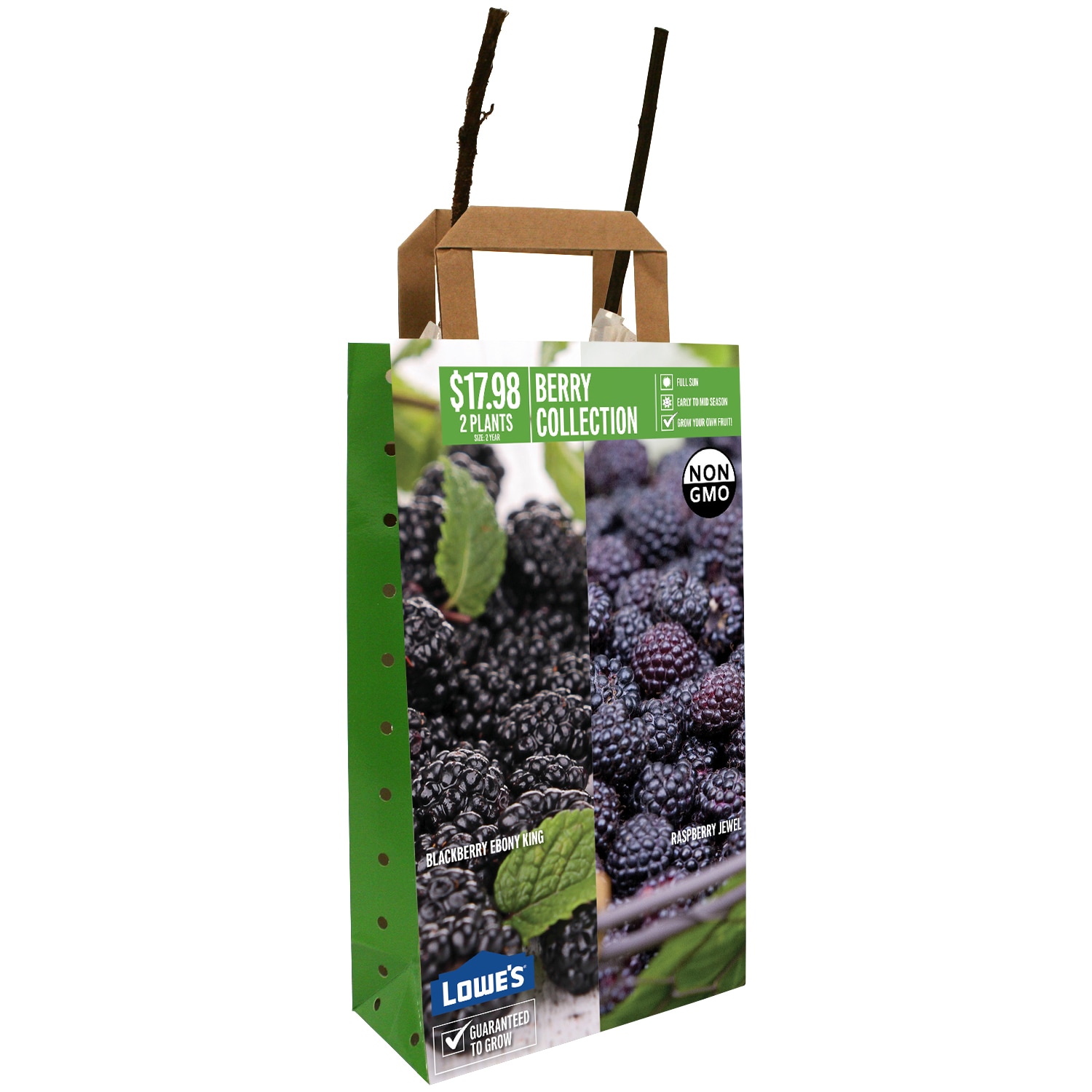  40584P DBL FRT BLK EBKNG/RASP JEWEL PBS