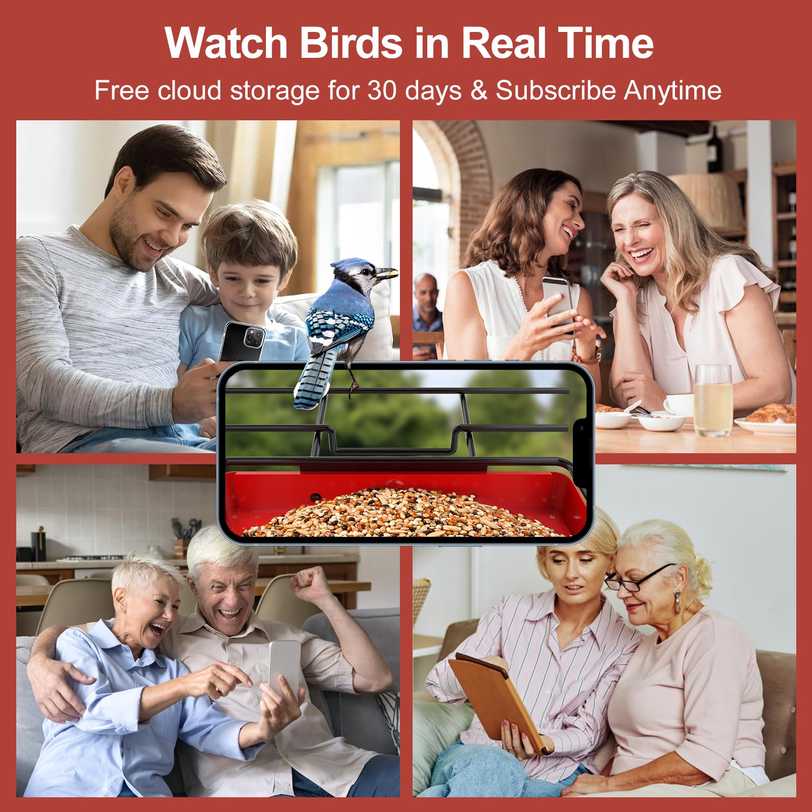 Berdz APS100 Bird-Feeders - View #5