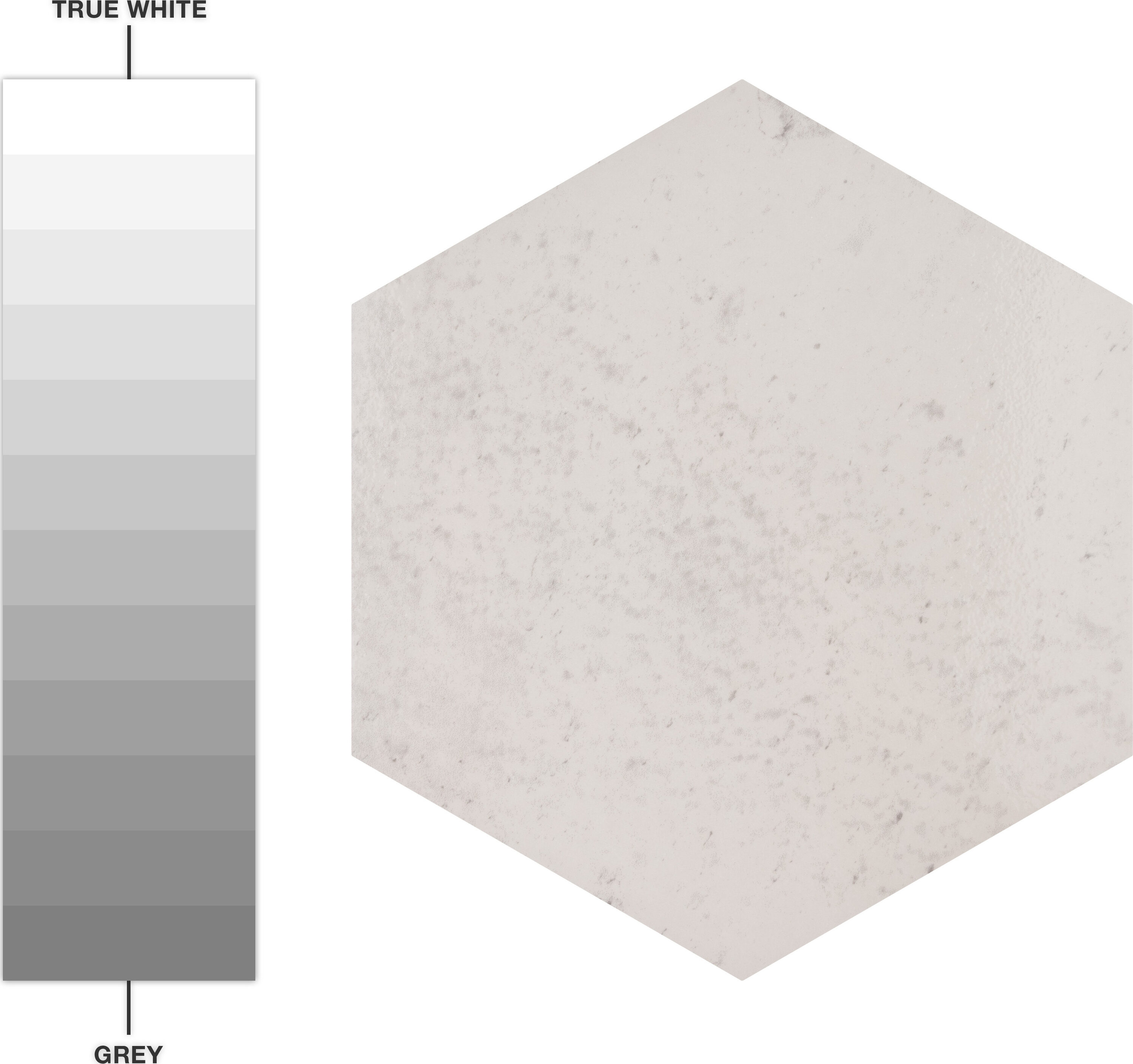 Affinity Tile S1FNA10XCANV Tile-Samples - View #7