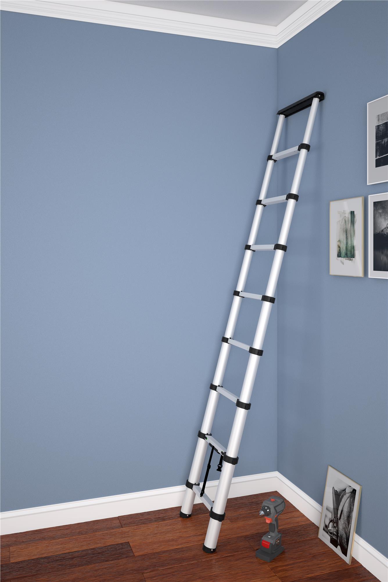 Cosco 20309T1ATE Extension-Ladders - View #8